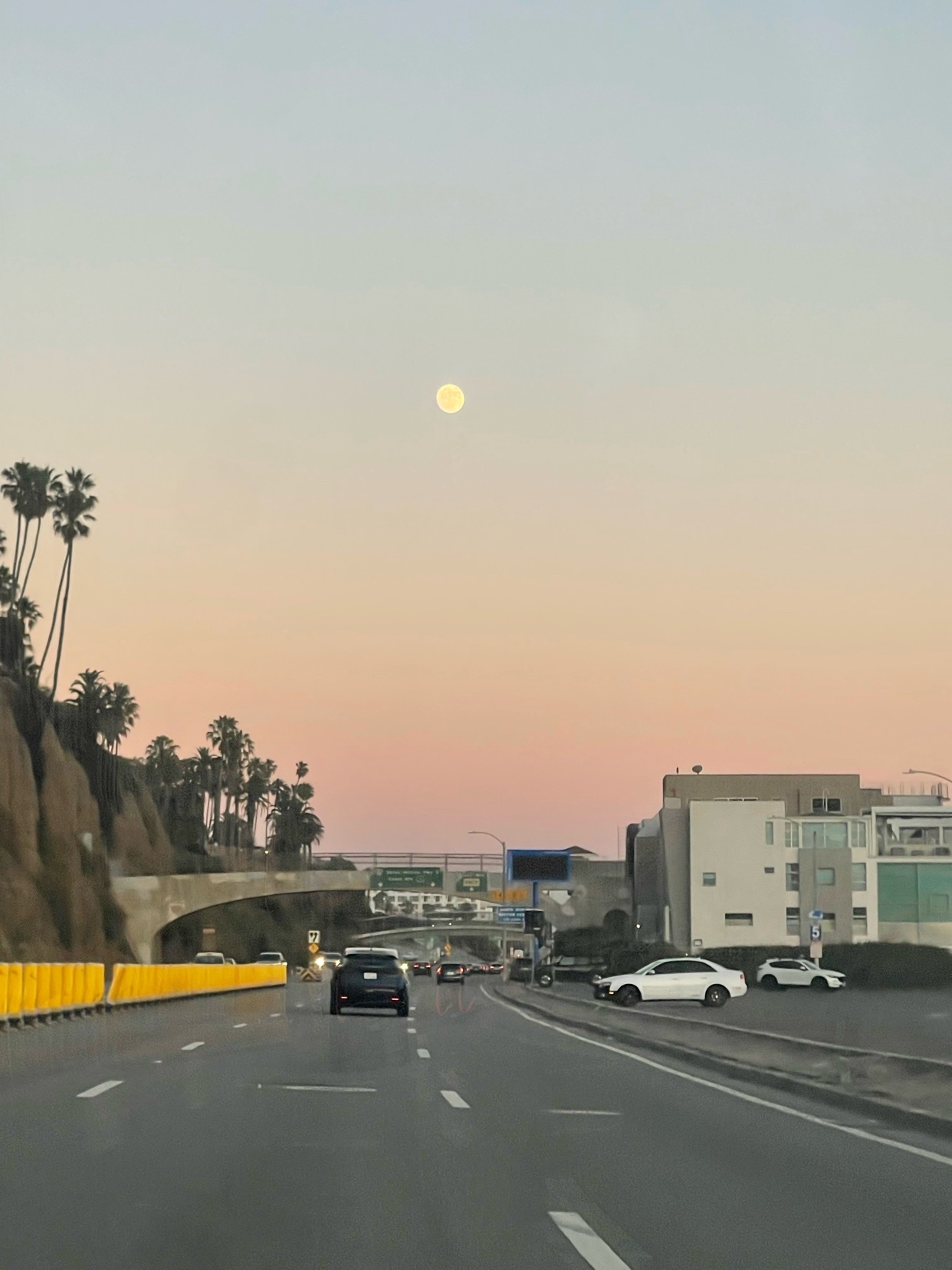 Photo by ricayotorres