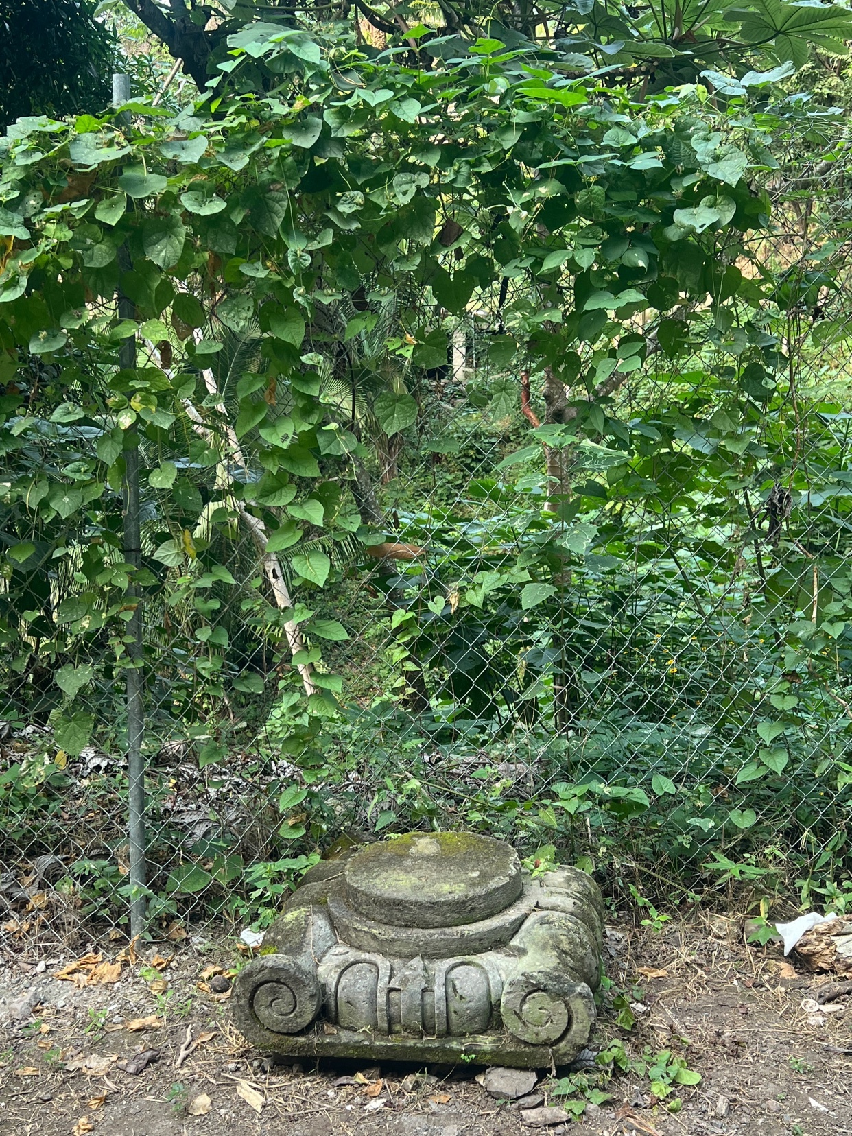 Photo by soyunplatano