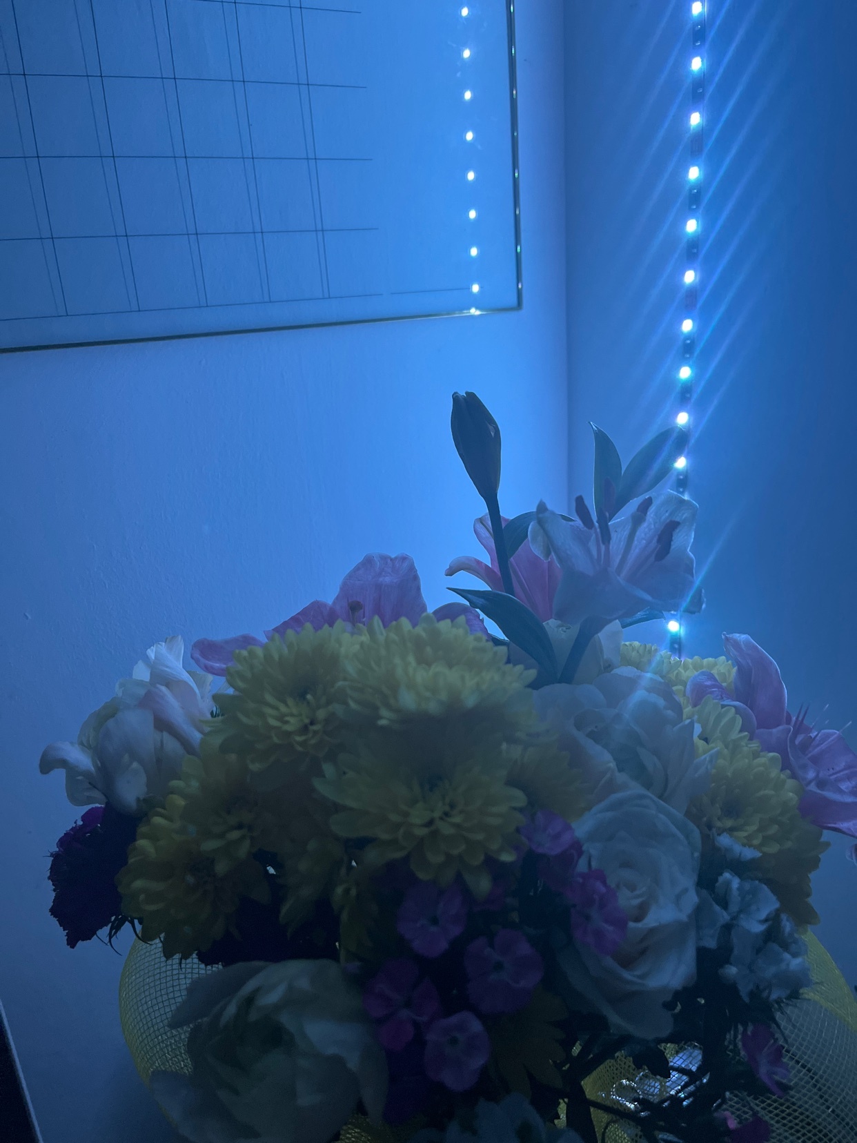 A beautiful bouquet of flowers in various colors. The flowers are arranged in a vase and lit with blue light.
