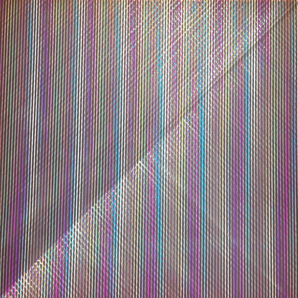 Photo by alex.yellow