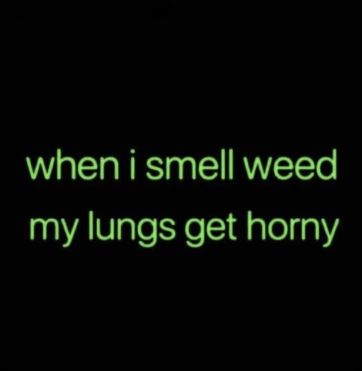 Photo by little.warri0r