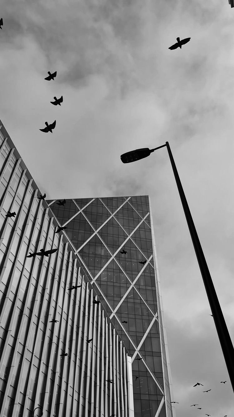 Photo by son_of_a_gun