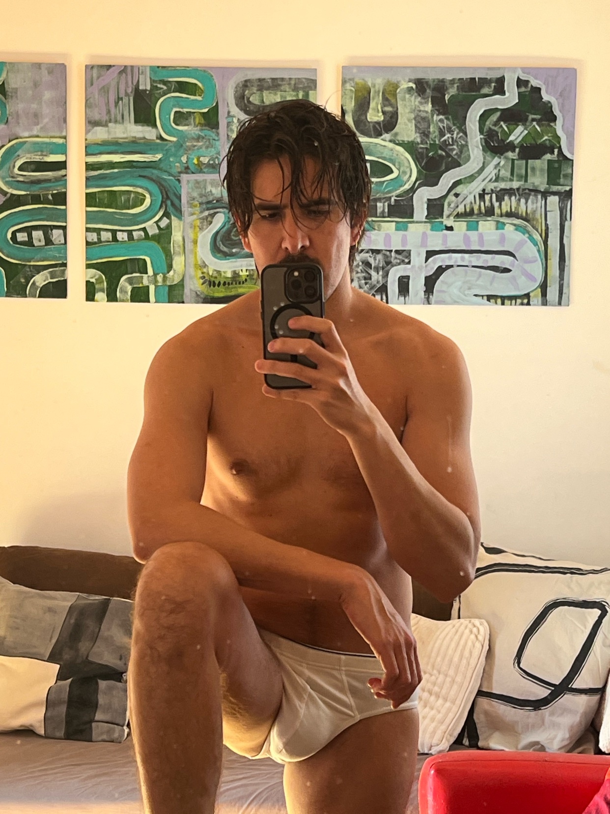 A man takes a mirror selfie, shirtless and in underwear. The photo is taken in a bedroom with art on the wall.