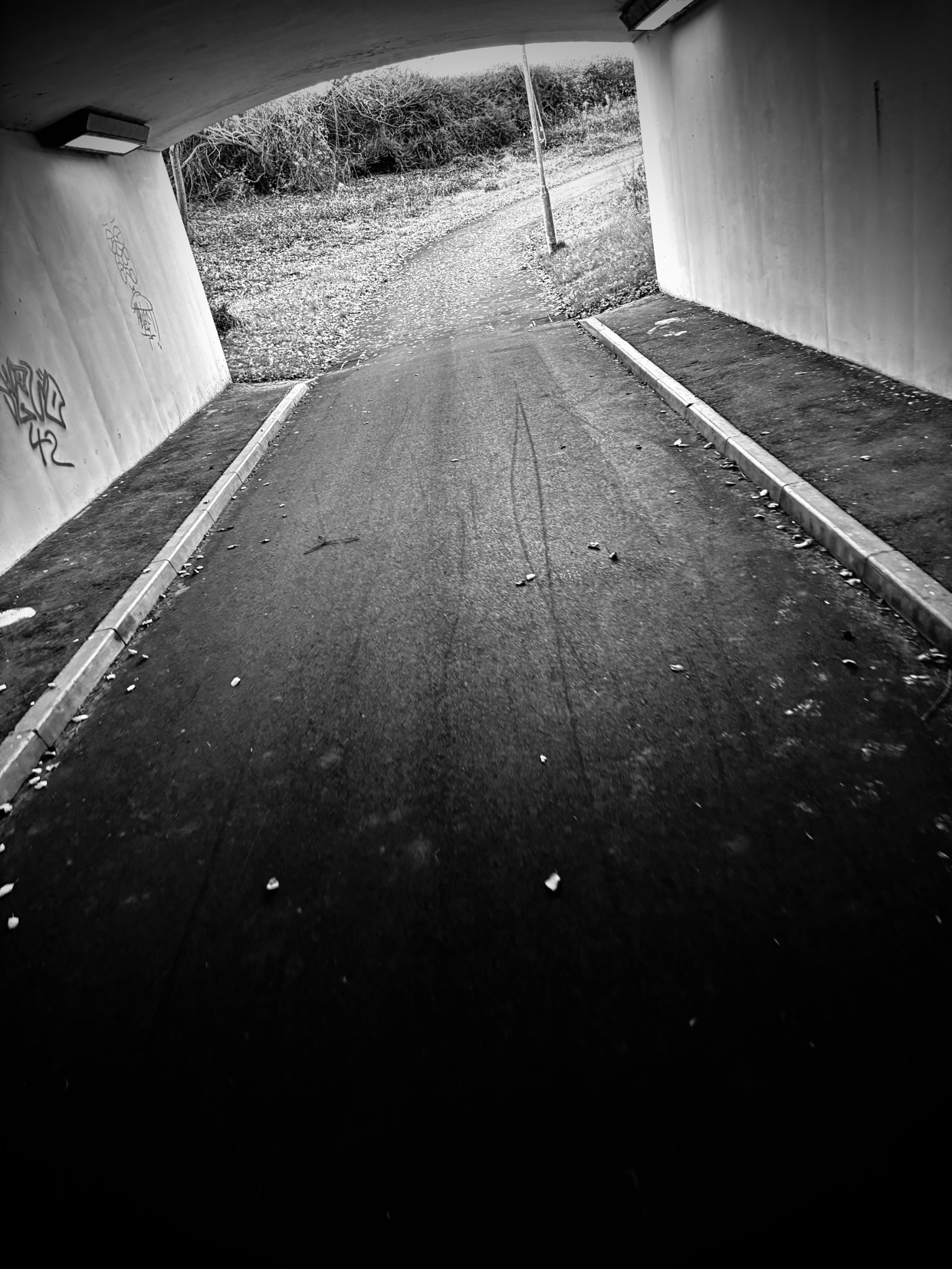 Photo by chrisgardener