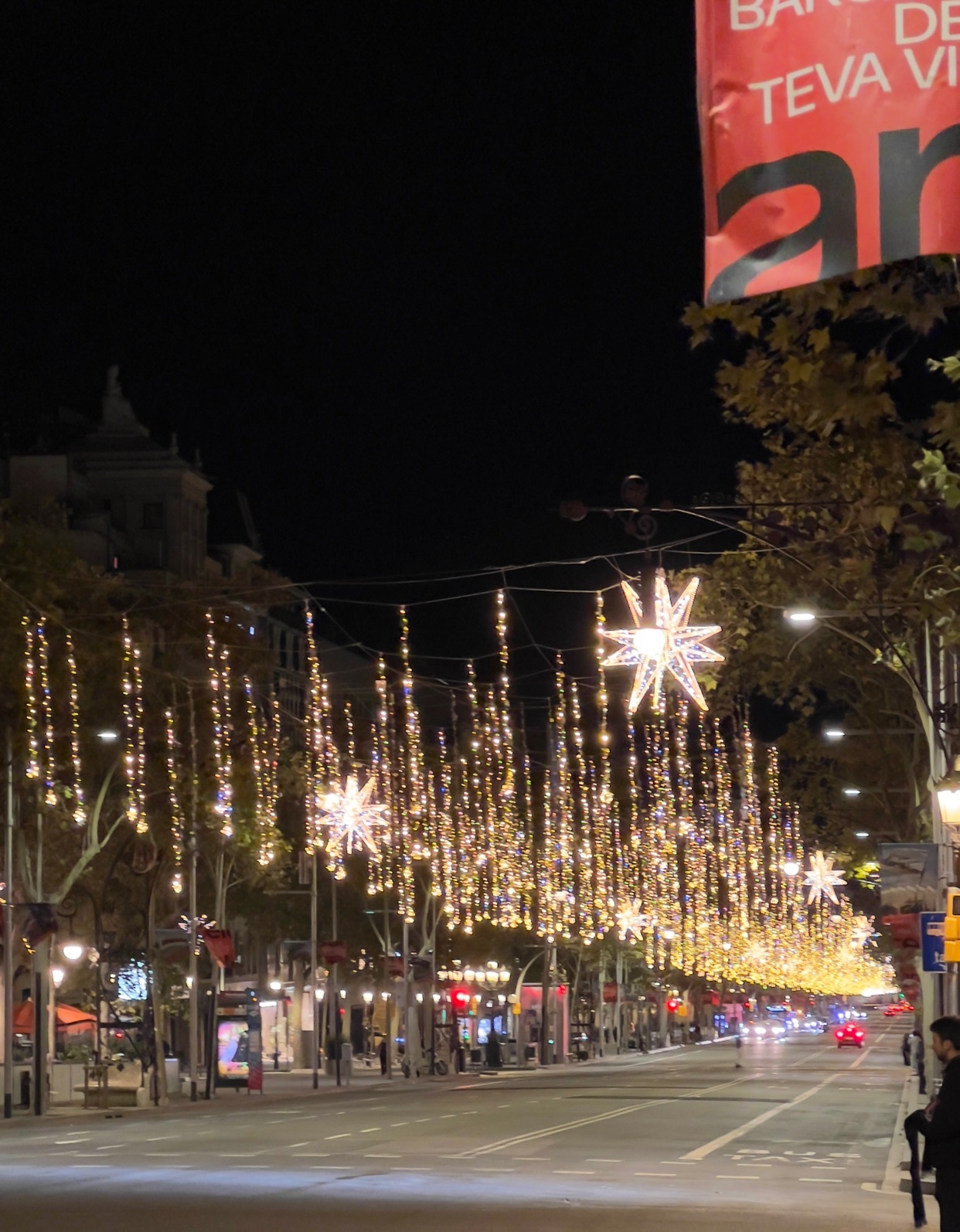 Photo by rodrigoterra