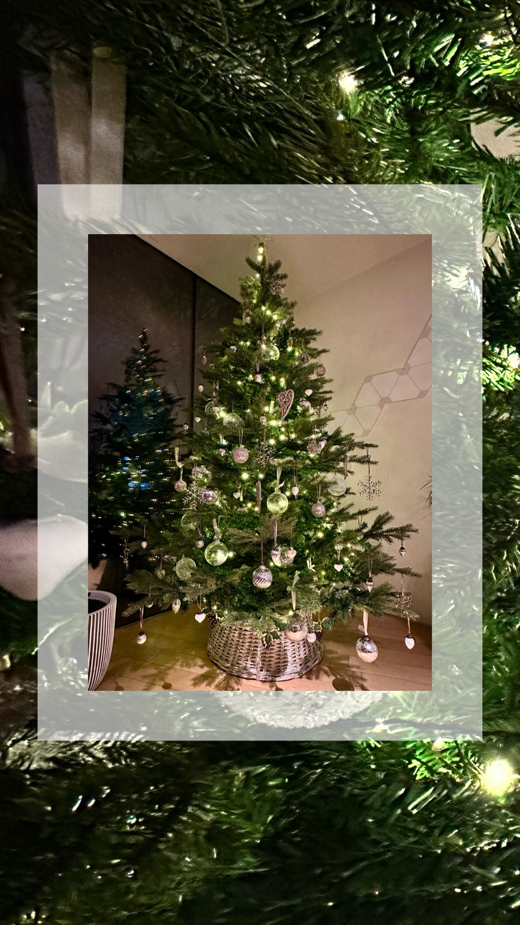 A beautifully decorated Christmas tree with silver ornaments. The tree is the focal point of a festive holiday scene.