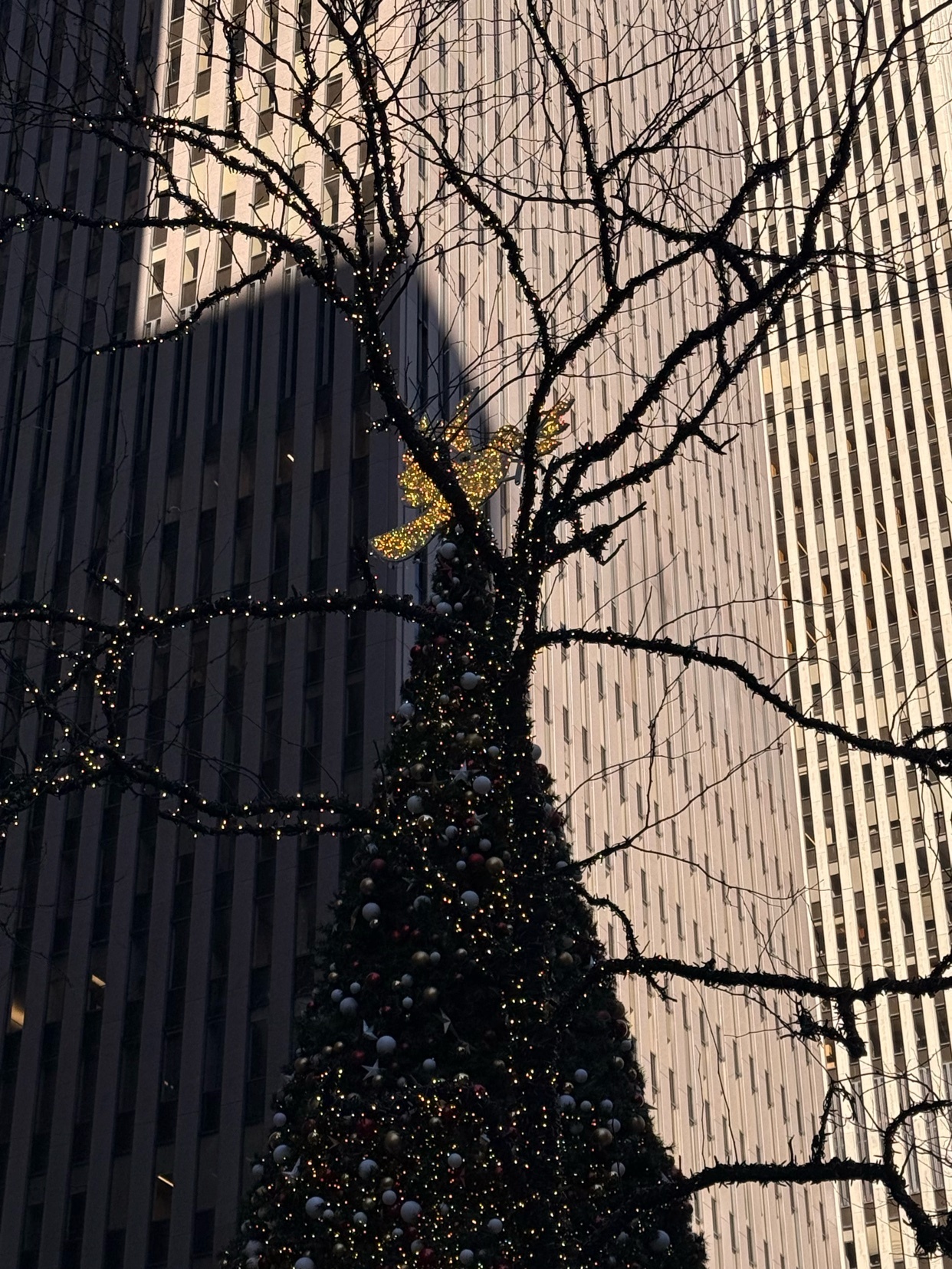 Photo by kings_world