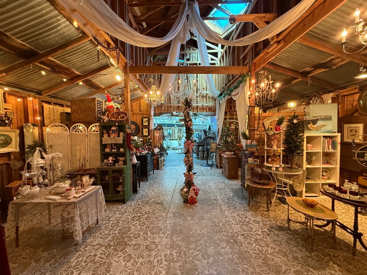 Photo by juvenlee_surrealart