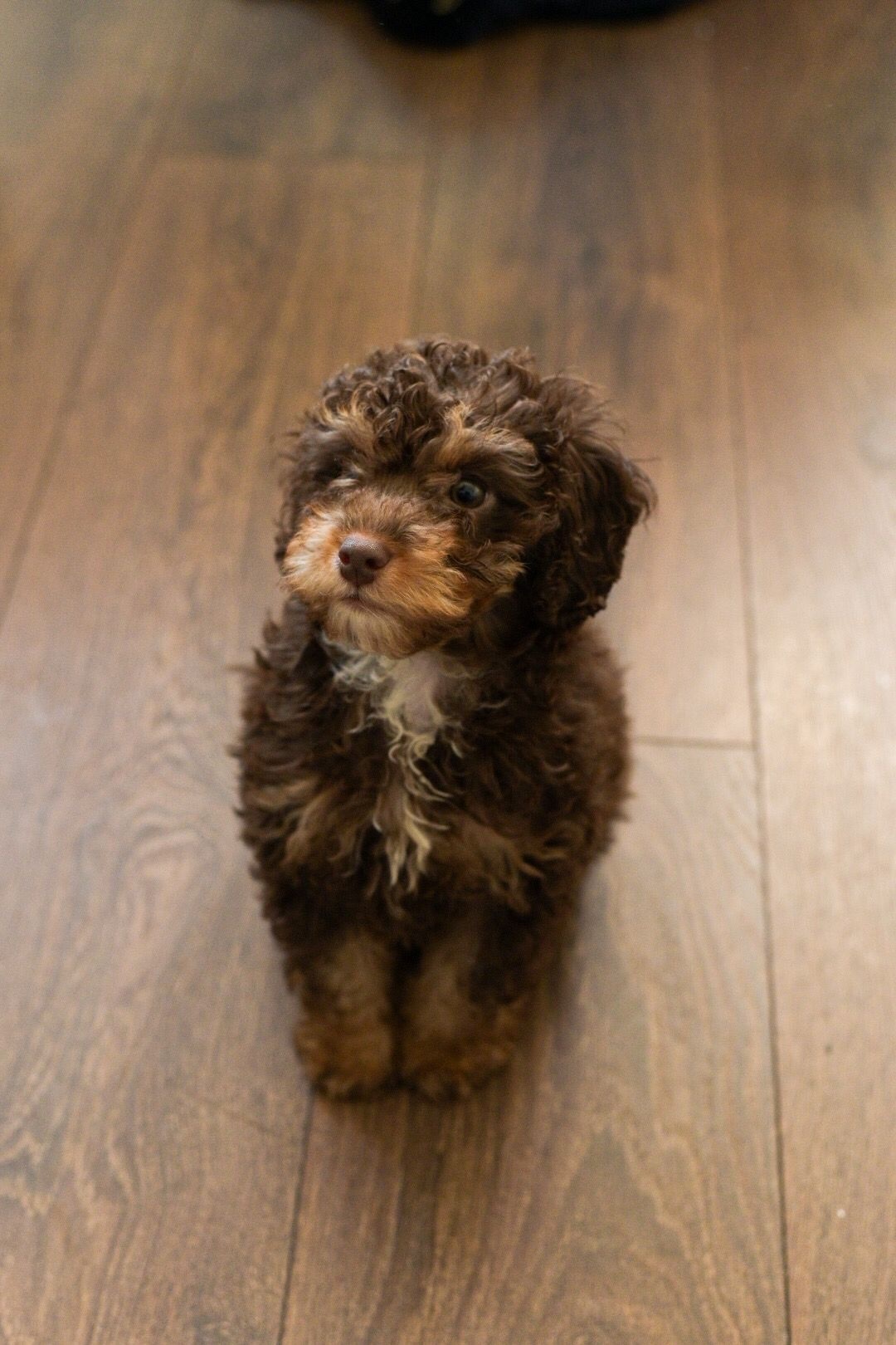 Photo by nhikkobruno