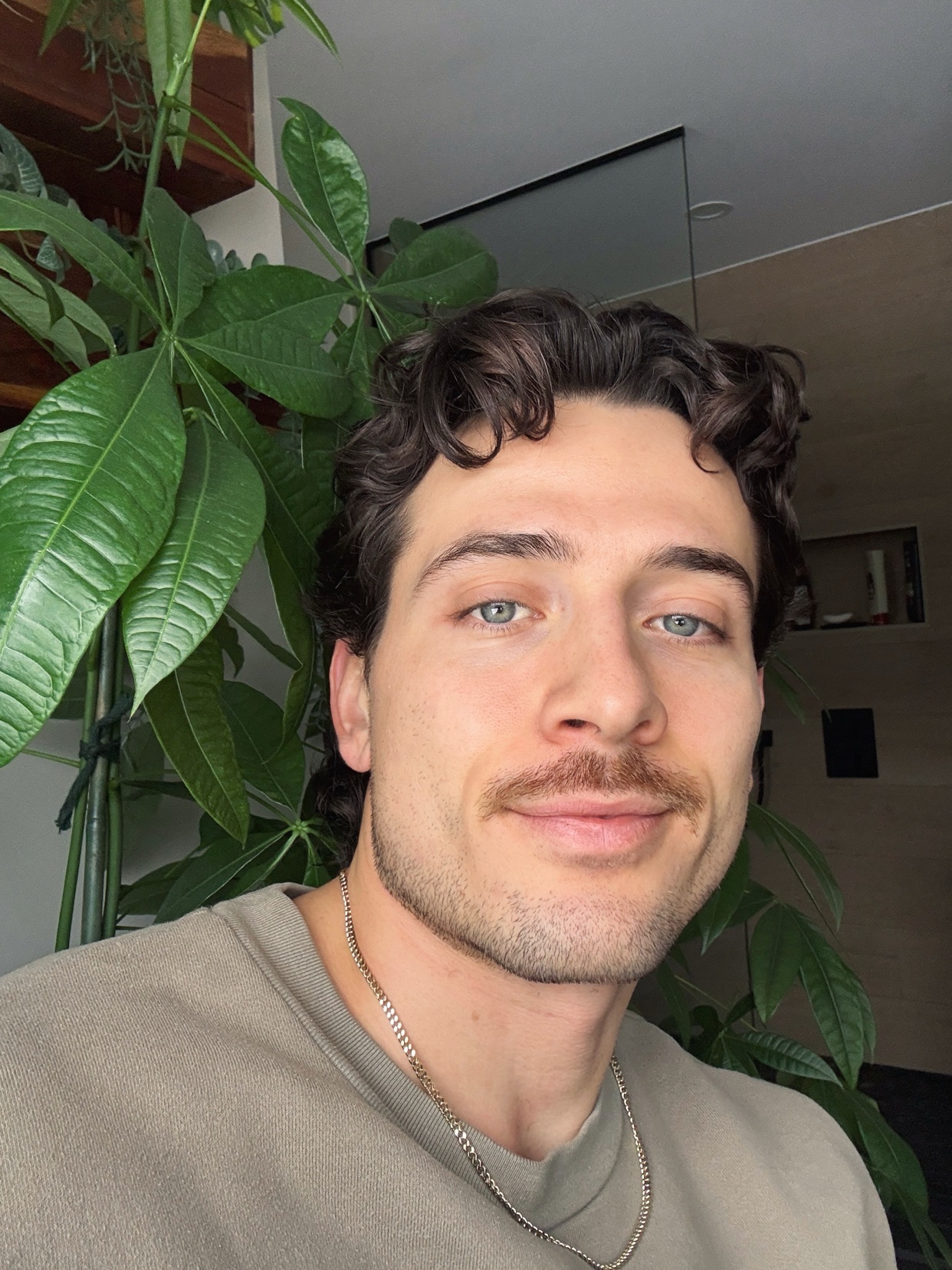 A man with curly hair and a mustache smiles for a selfie. A large green plant is in the background.