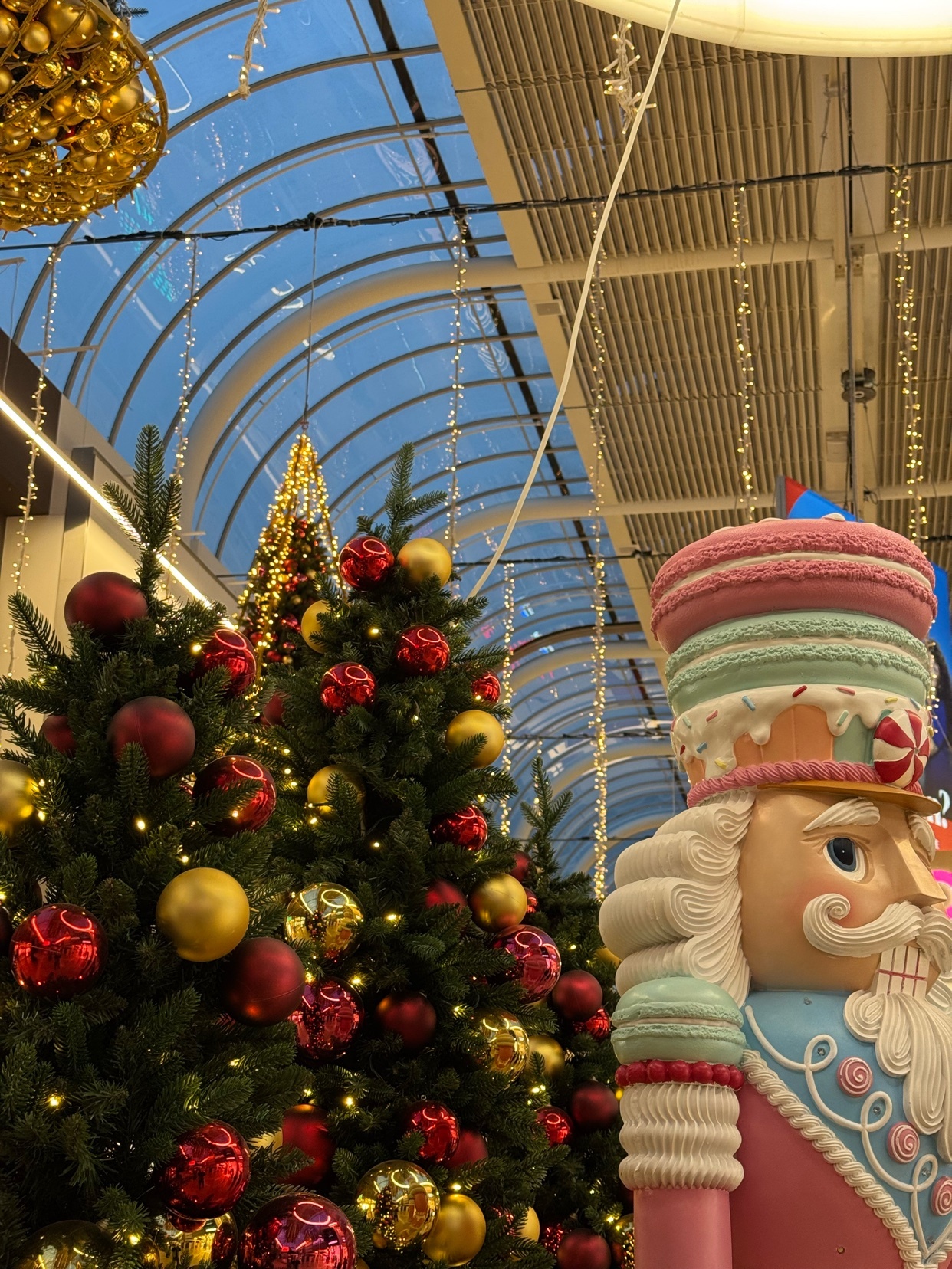 Photo by marc.was.here