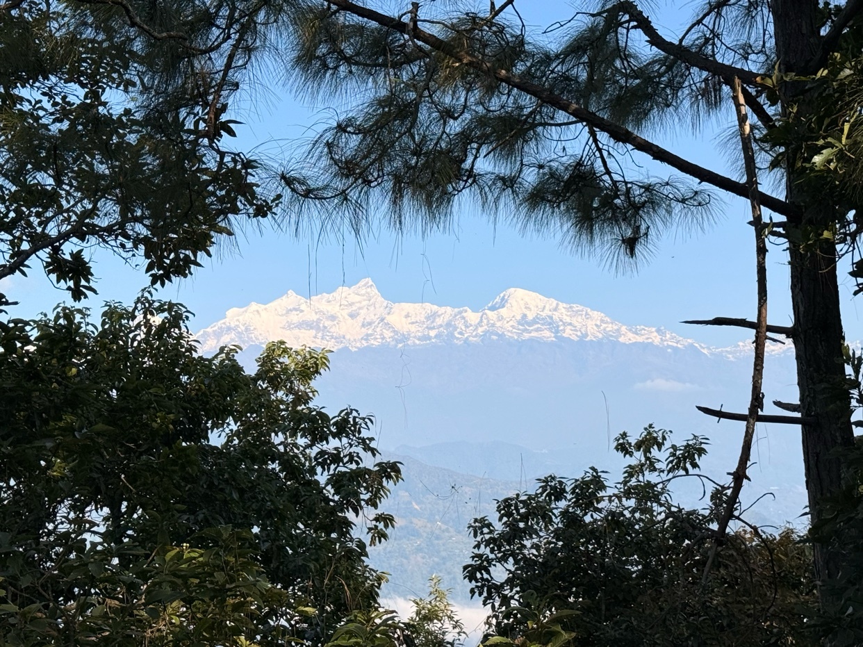 Photo by londondogdad