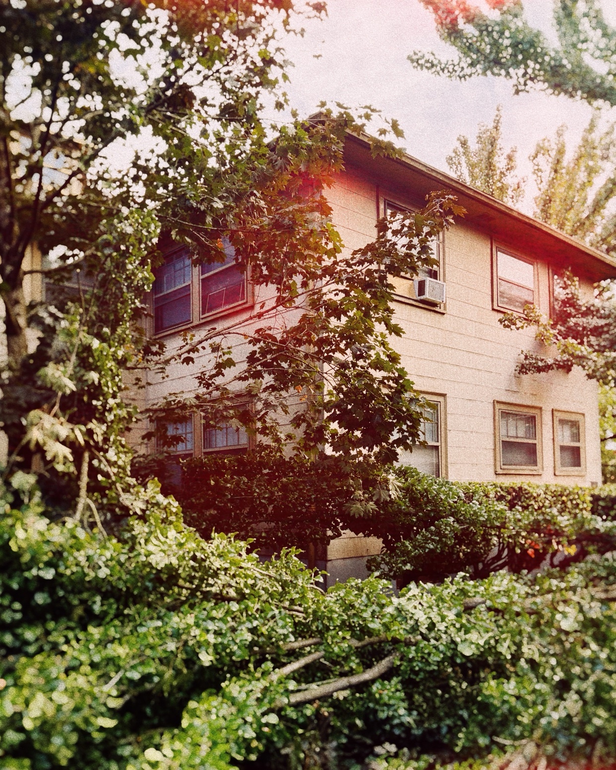 Photo by londongnarly