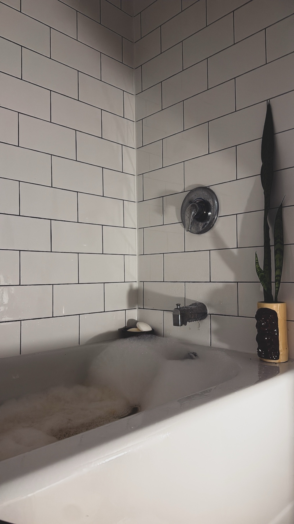 Photo by jamidsepulveda