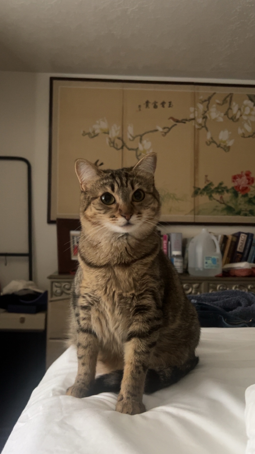 Photo by lui.pinetree