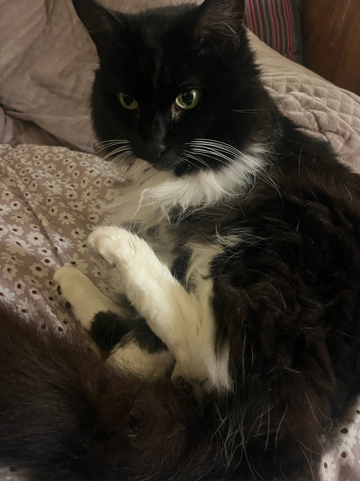 Photo by pawgmatic_the0logy