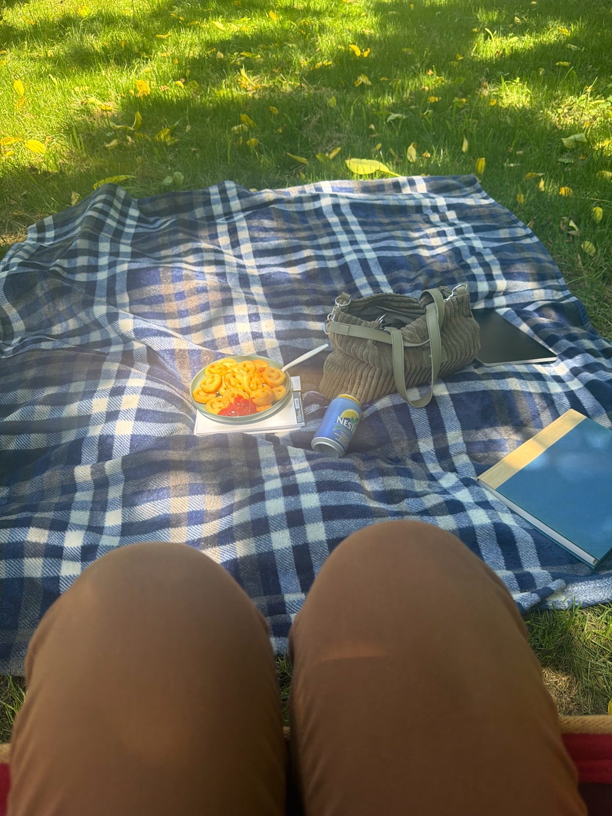 A picnic blanket is laid out on the grass under a tree, with a plate of fries, a drink, and a book.