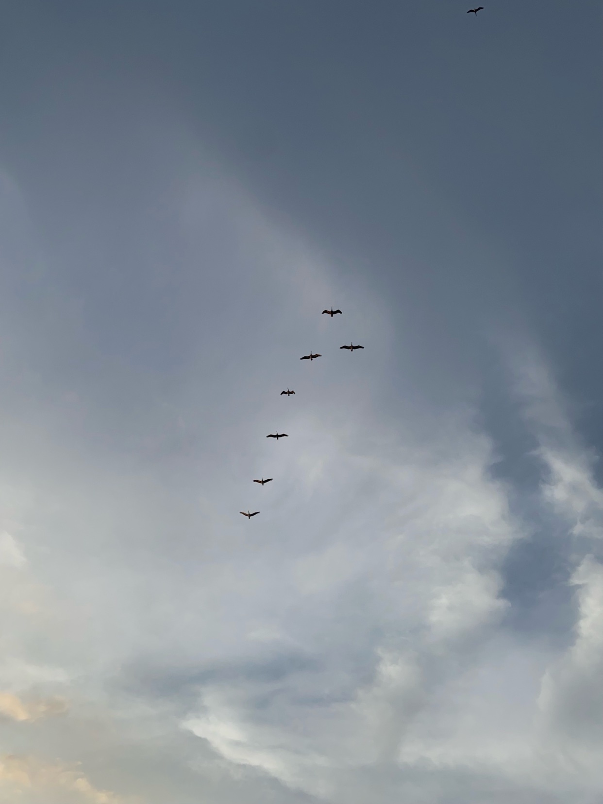 Photo by elliotsgarden