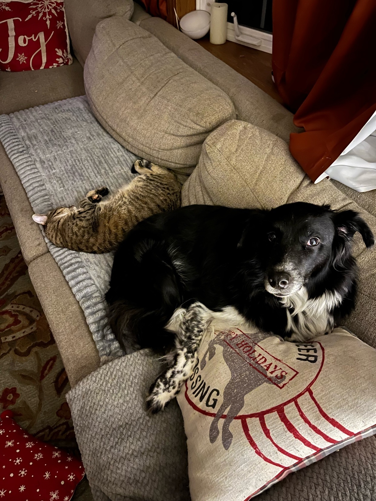 Photo by lifeonthezlist