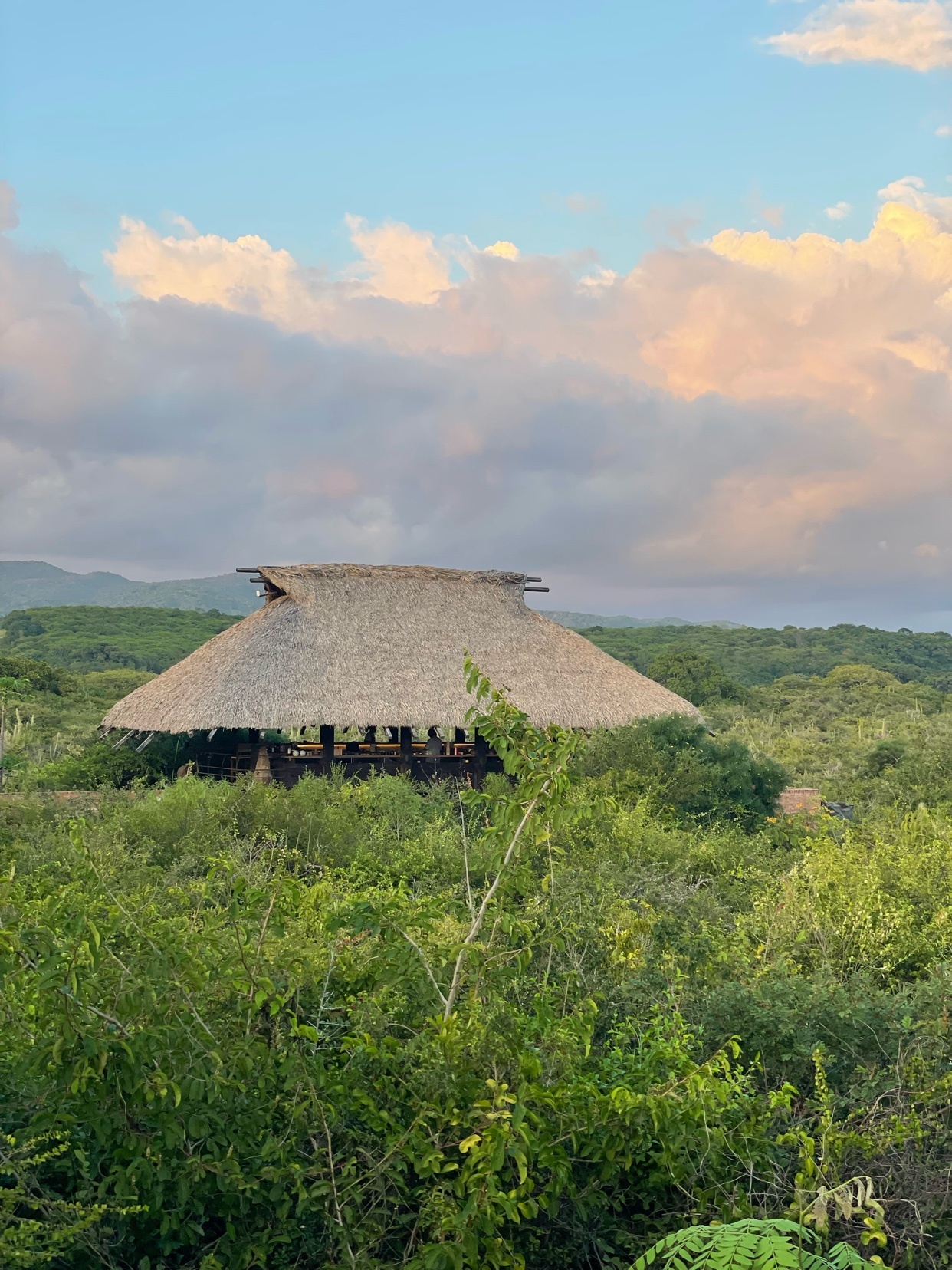 Photo by oandreoliveiracosta