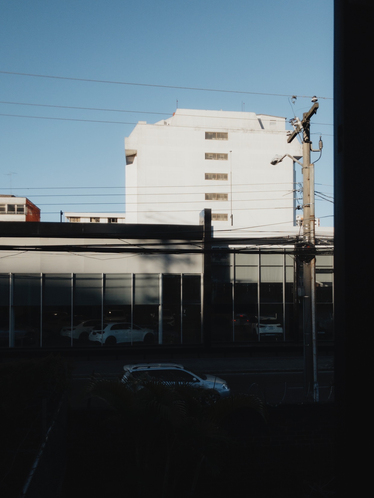 Photo by untiporaro__