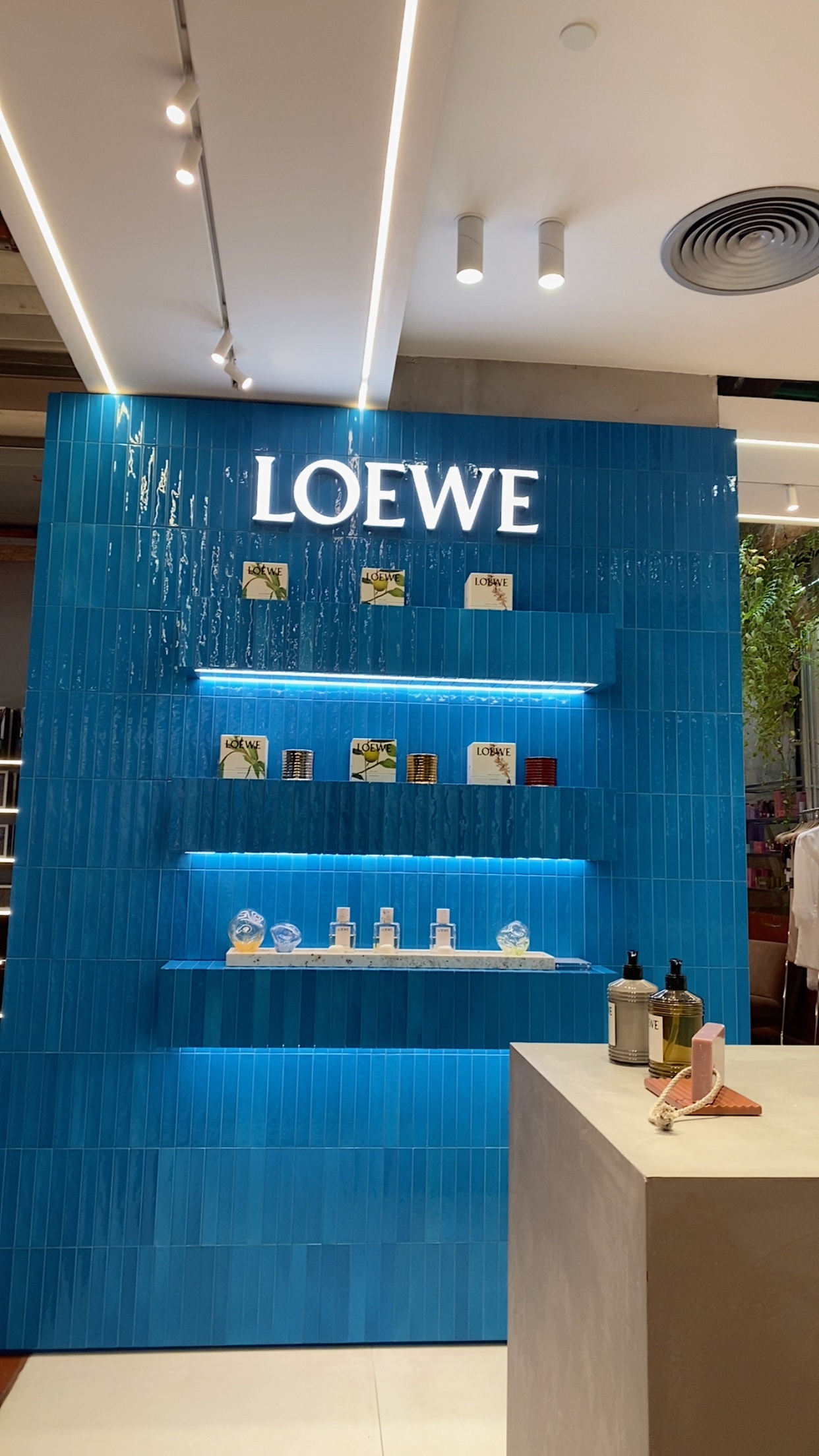 A vibrant blue tiled wall displays Loewe branded perfumes and cosmetics on illuminated shelves. The modern retail display features a clean, upscale aesthetic.