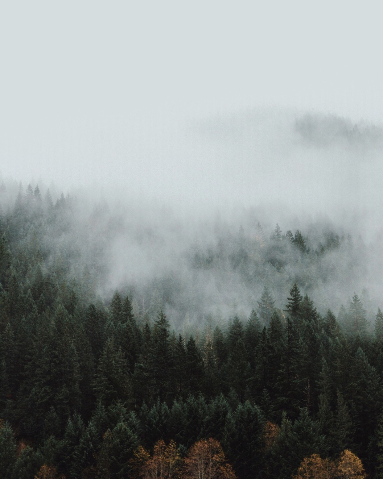 Photo by little.warri0r