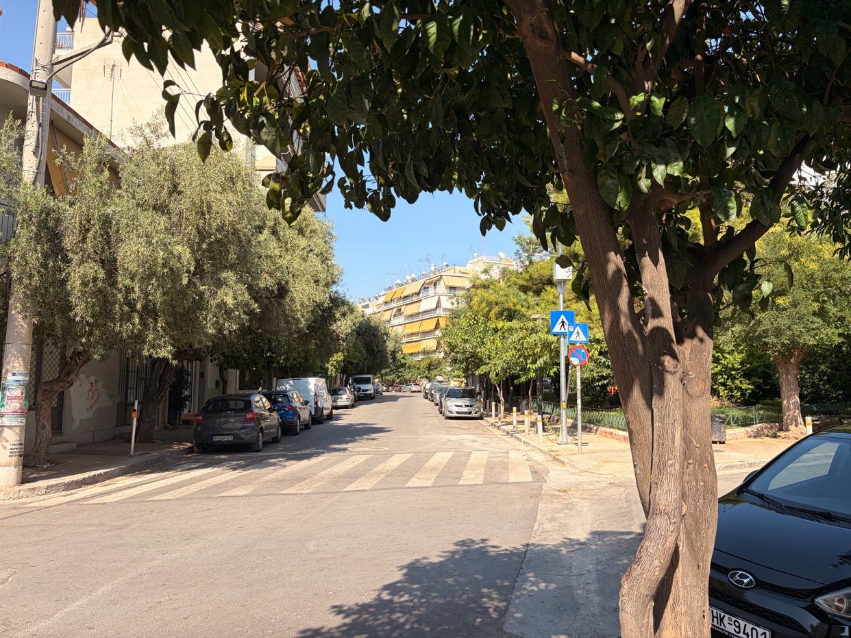 A sunny day illuminates a quiet city street lined with parked cars and trees. Buildings and a crosswalk are visible in the distance.