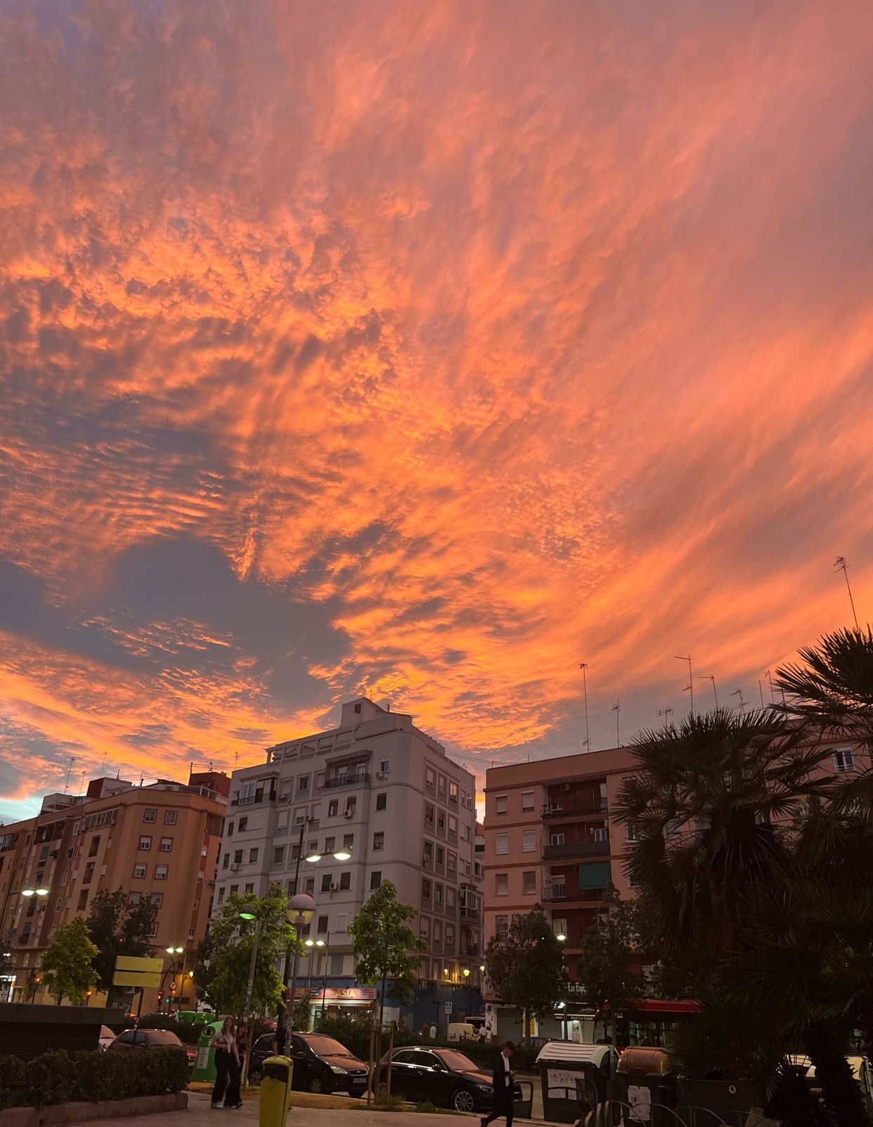 Photo by darioo / Dario on Collective