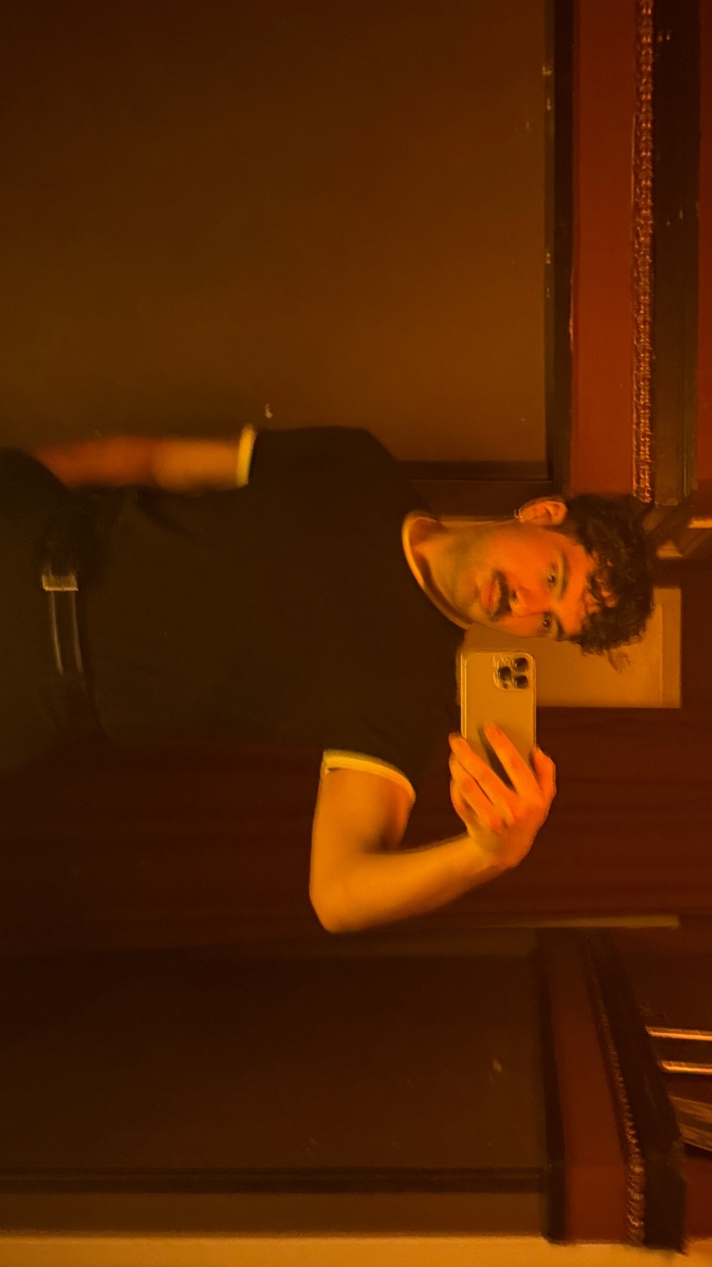 A man takes a mirror selfie. He is wearing a black t-shirt and has curly hair.