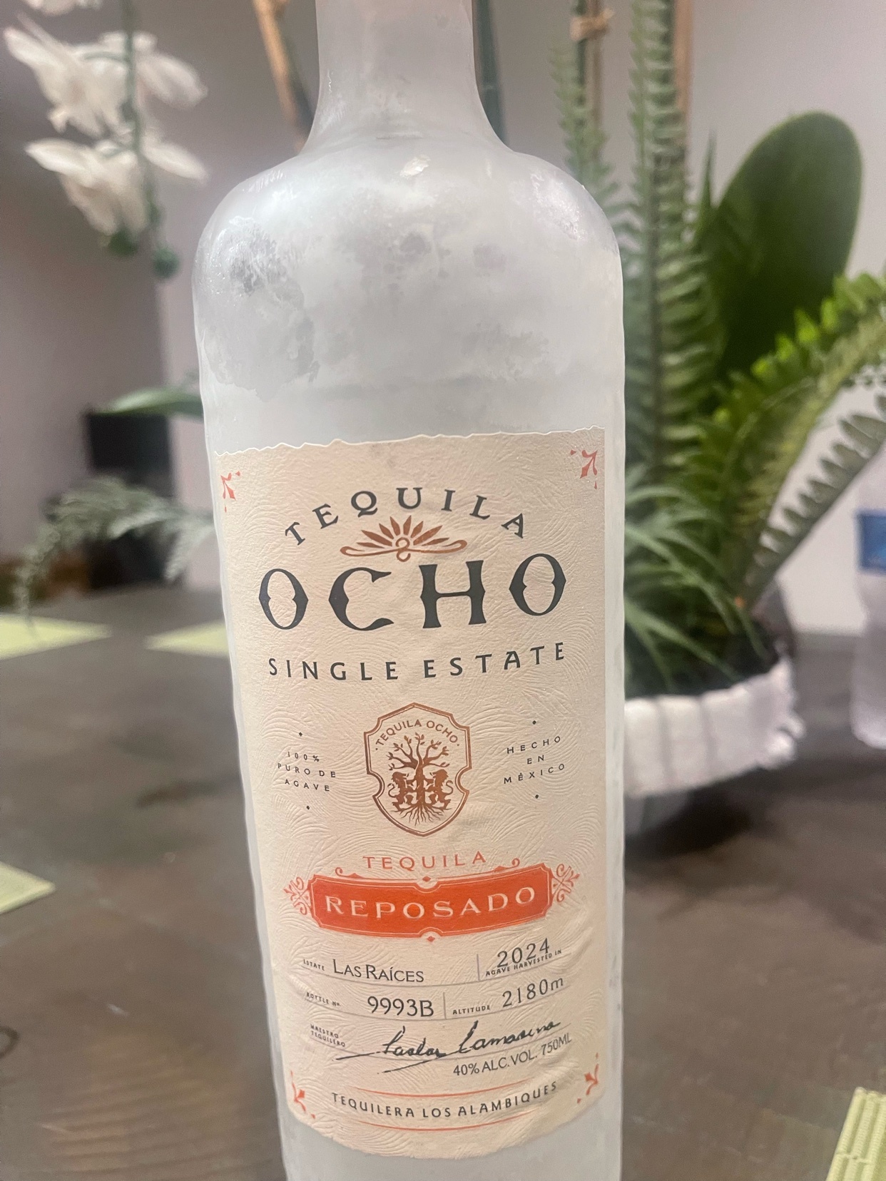 Photo by ricayotorres