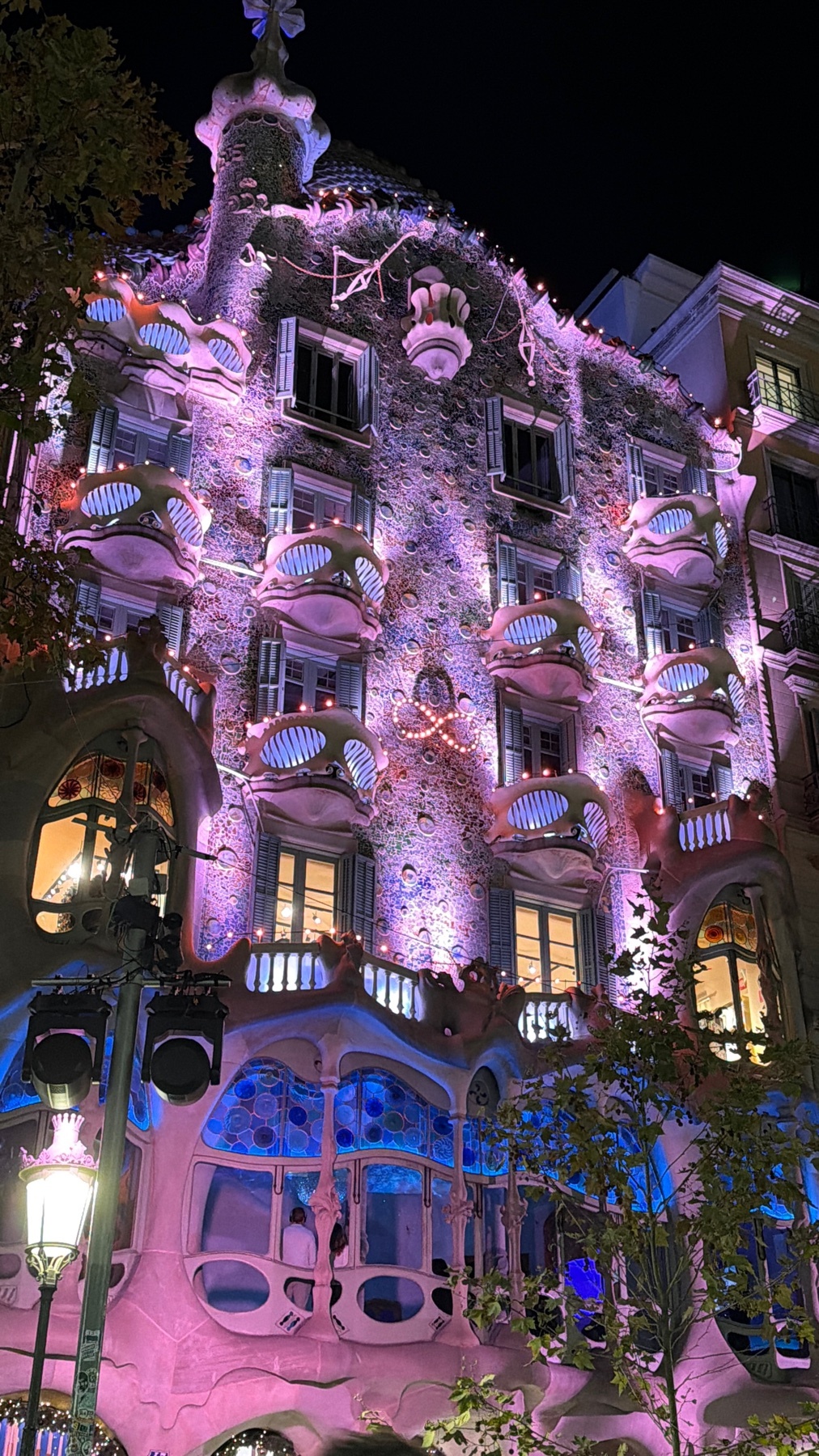 Photo by tindossantos