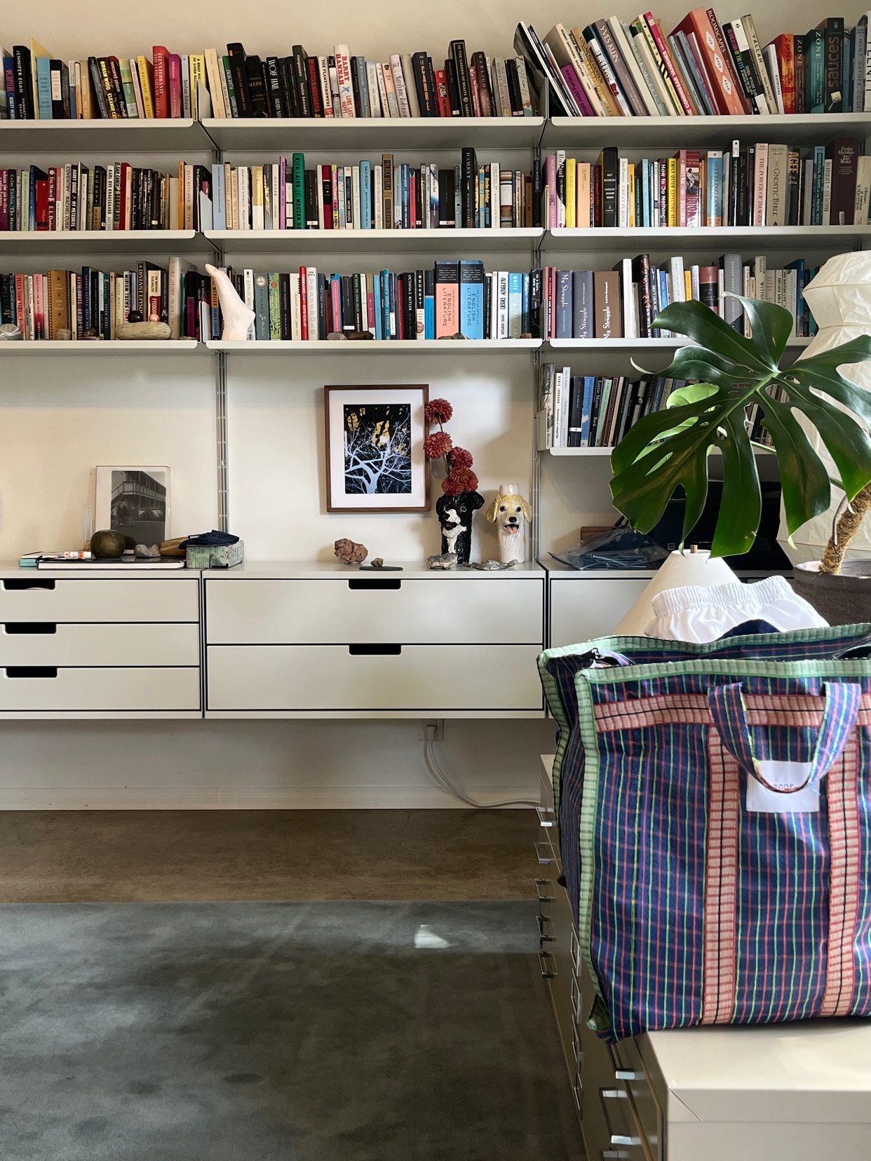 A wall of bookshelves filled with books is complemented by modern white storage drawers and a large tote bag in the foreground. A lush green plant adds a touch of nature to the organized space.