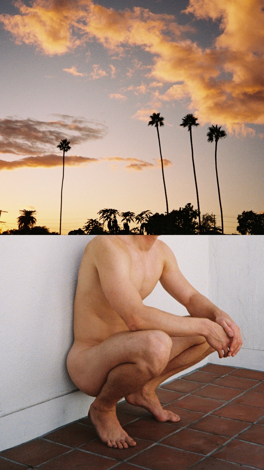A man squats naked against a white wall with palm trees and a sunset in the background.