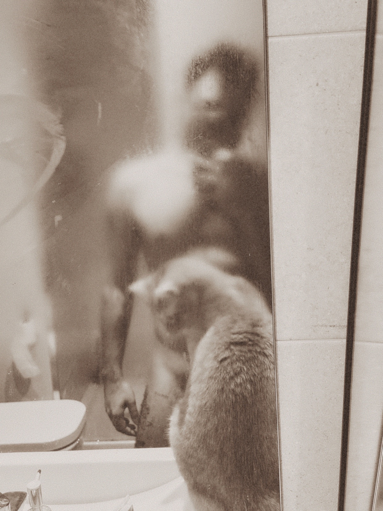 Photo by rafamedeiros