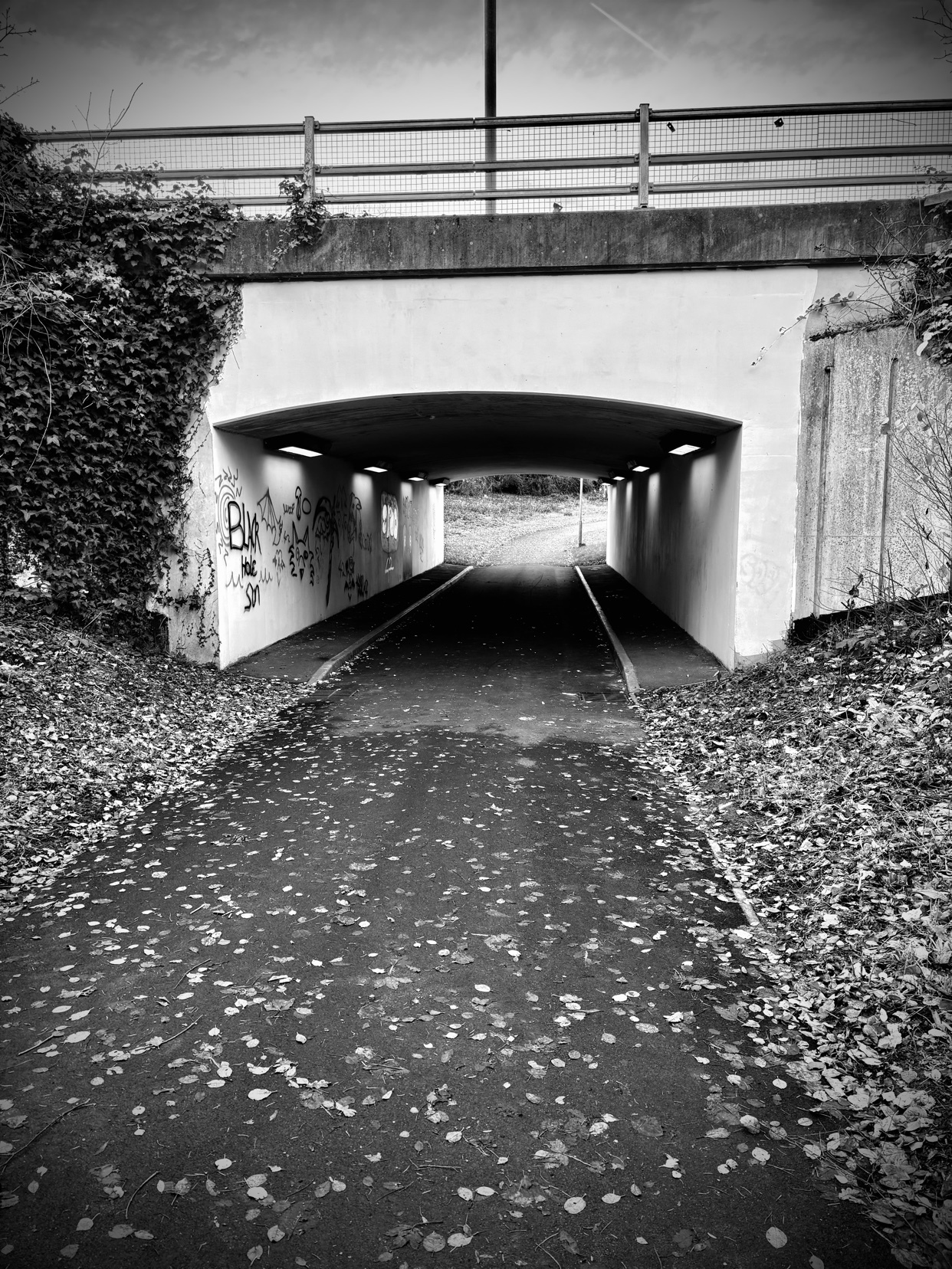 Photo by chrisgardener