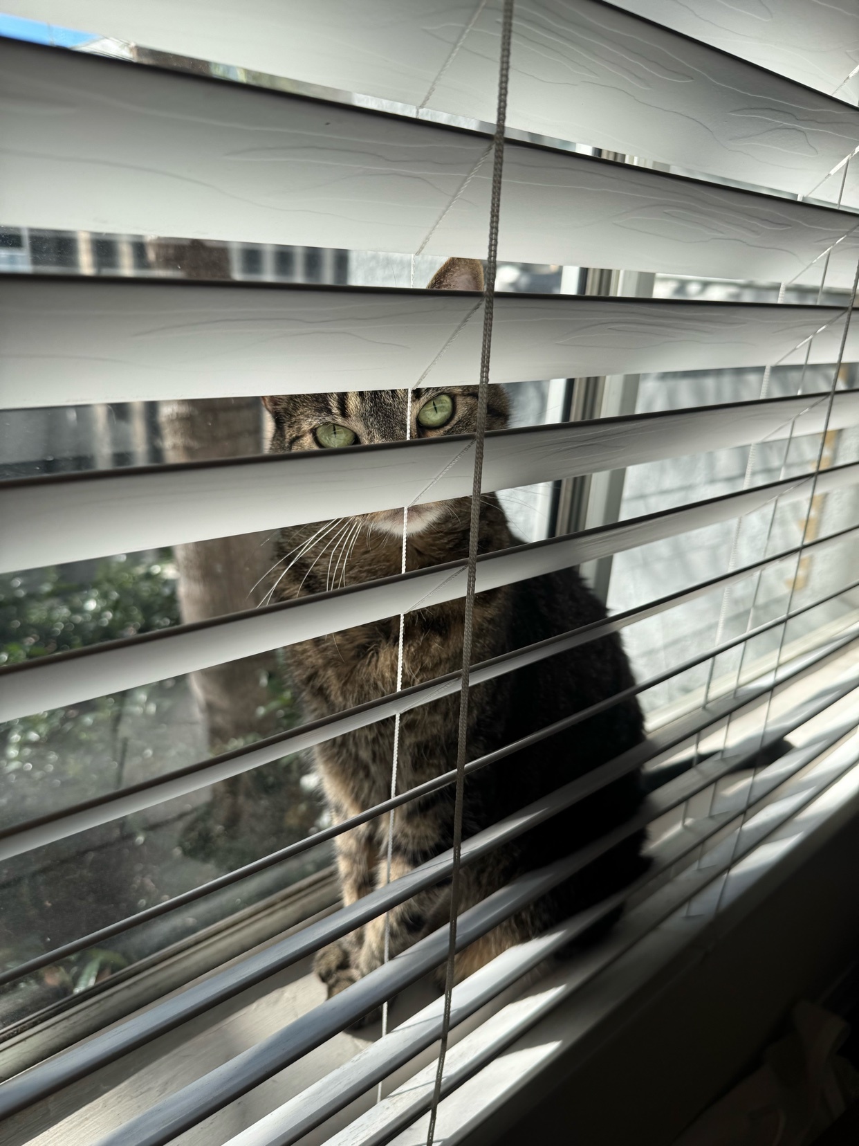 Photo by silveraccordlx