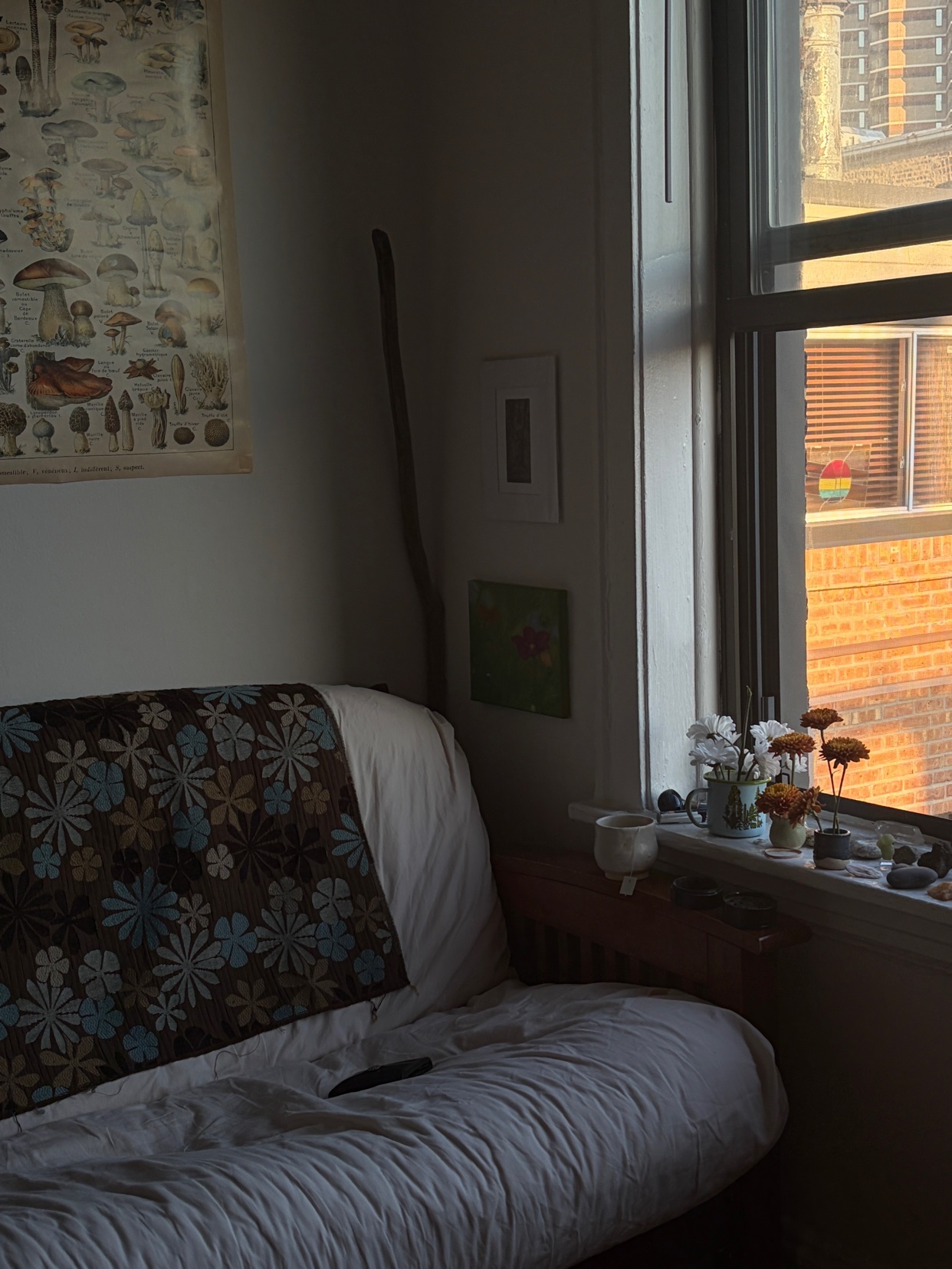 A cozy room bathed in natural light features a floral-patterned sofa and a window sill adorned with small plants and flowers. A botanical mushroom print hangs on the wall, adding to the room's artistic and peaceful ambiance.