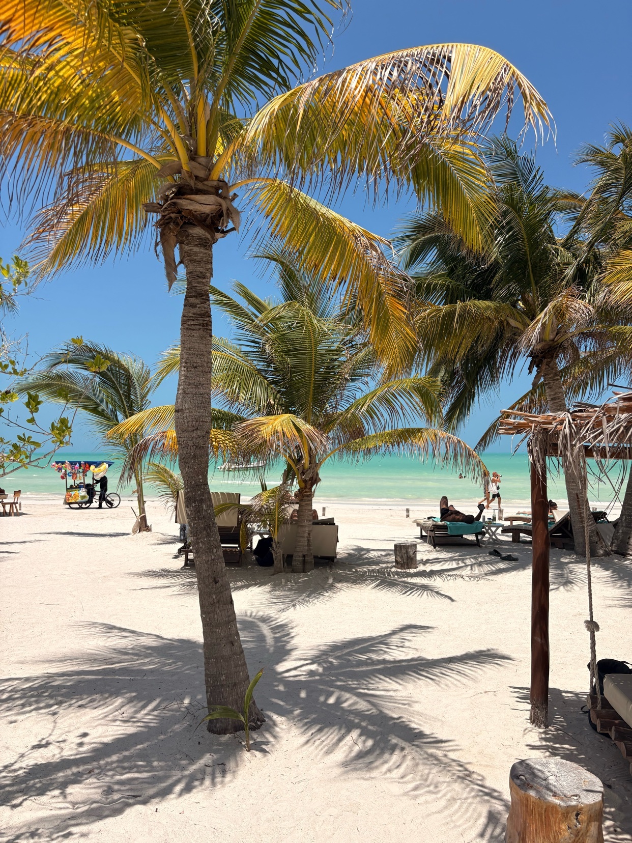 A sunny beach scene with palm trees casting shadows on the white sand. People are relaxing on lounge chairs in the background near the ocean.