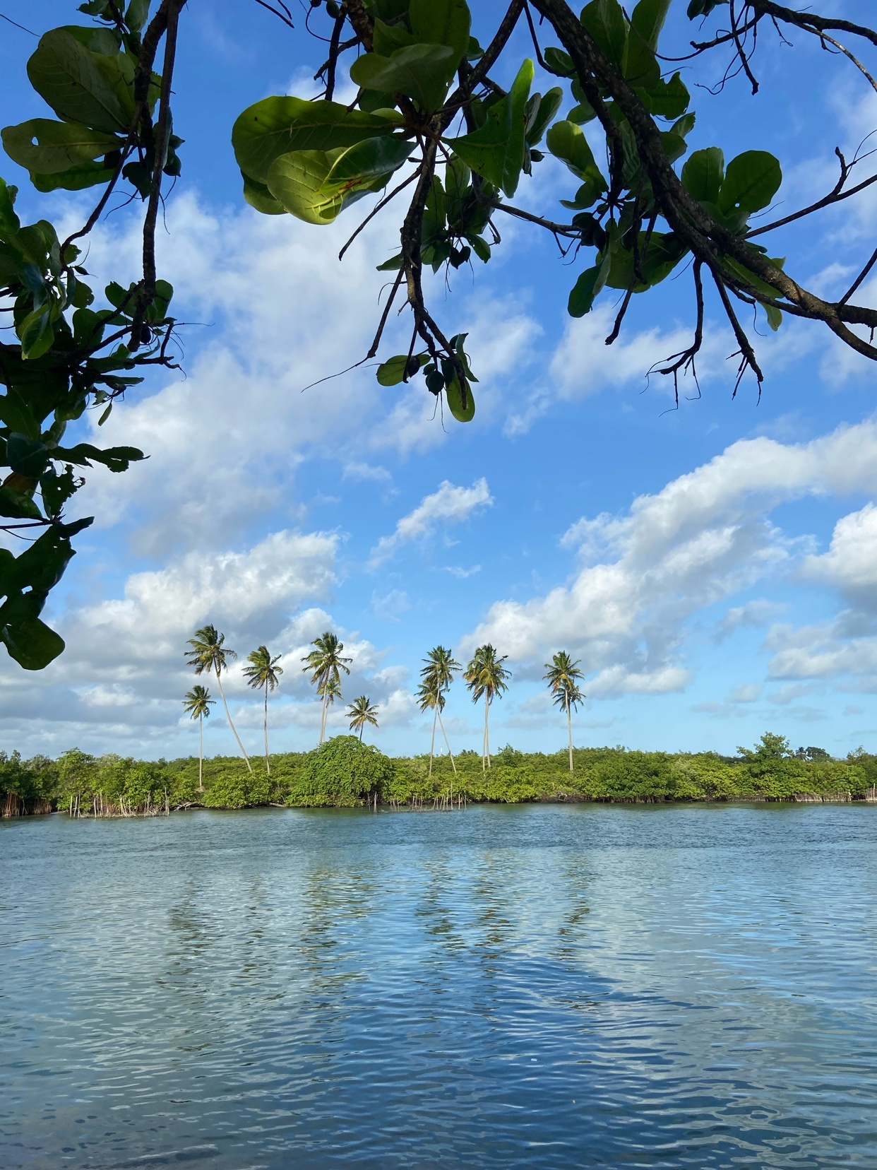 Photo by ffernandoalves