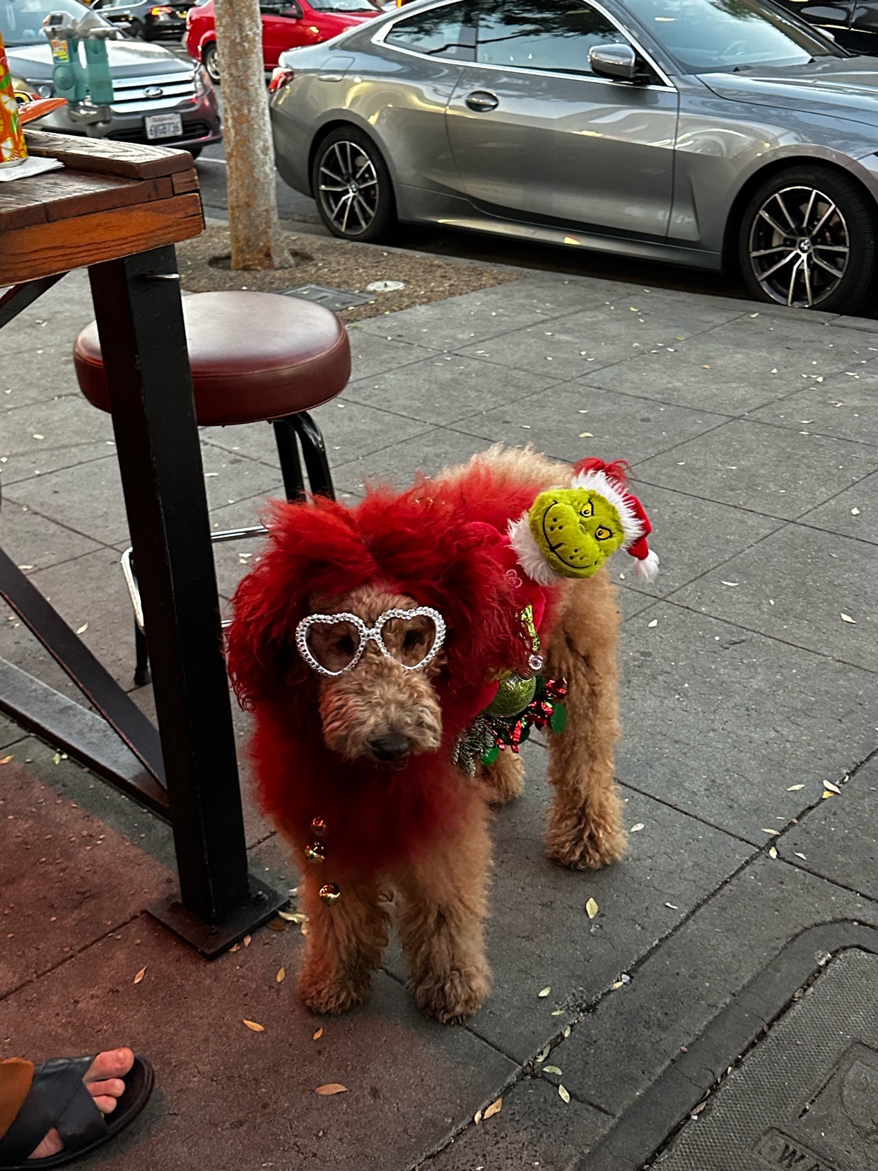 Photo by caio-felipe