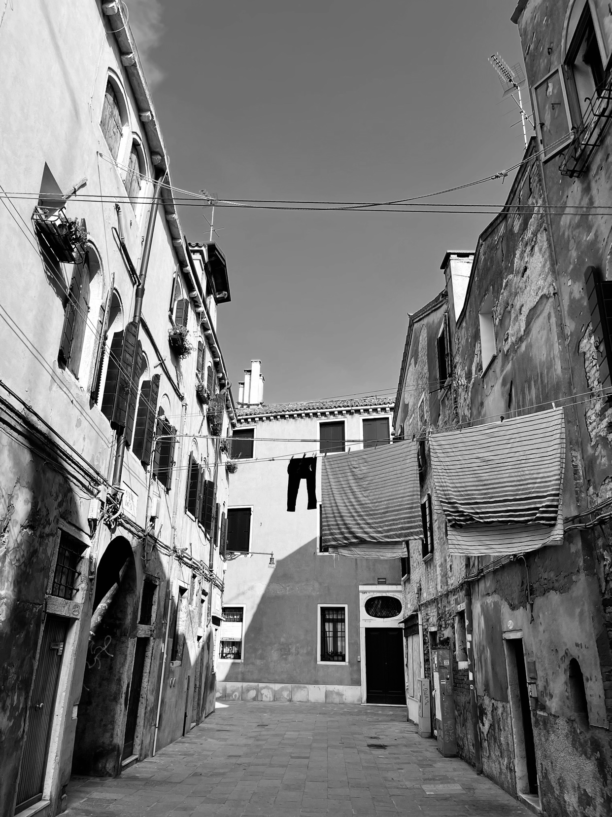 Photo by son_of_a_gun