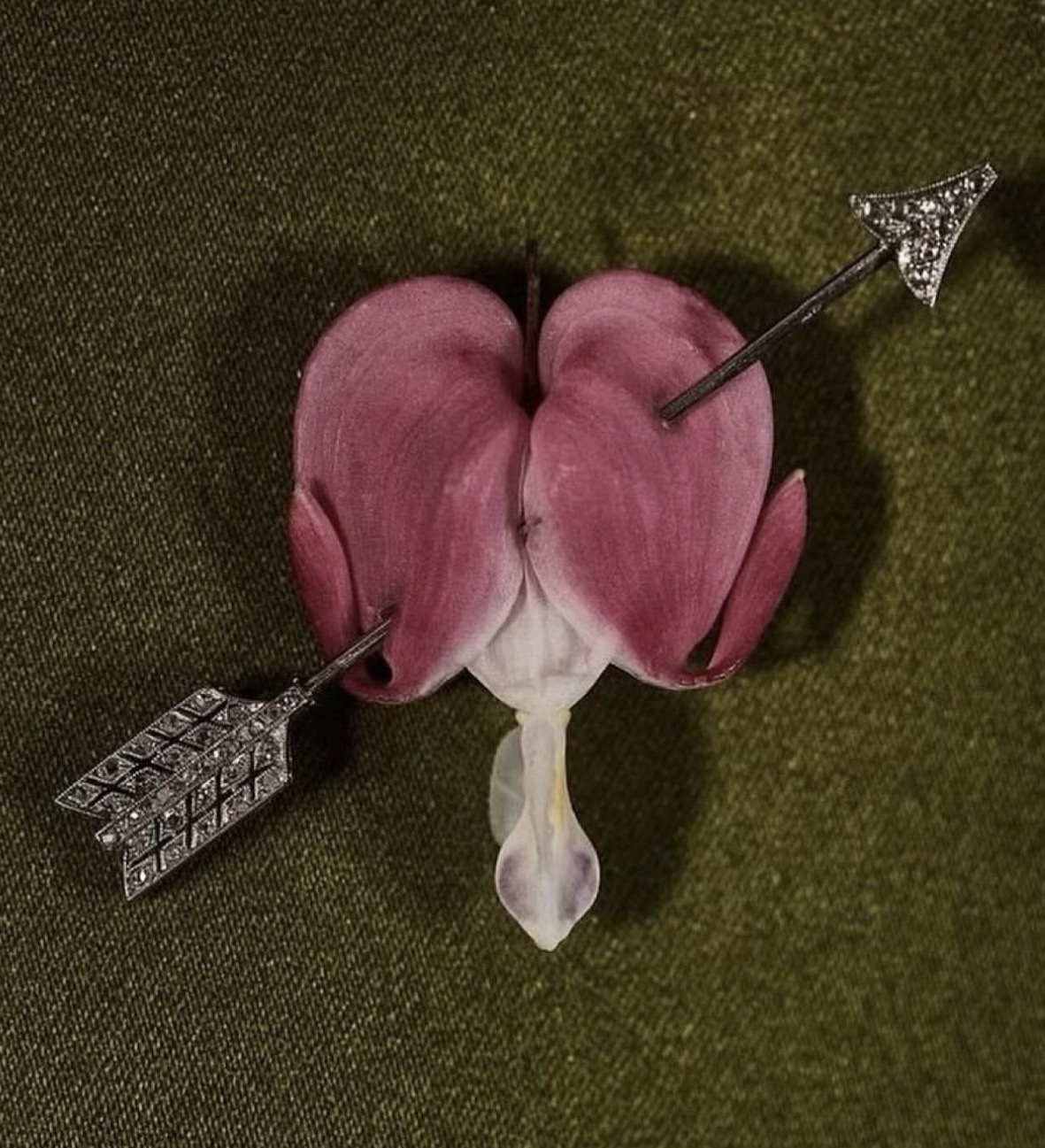 Photo by highinthepark