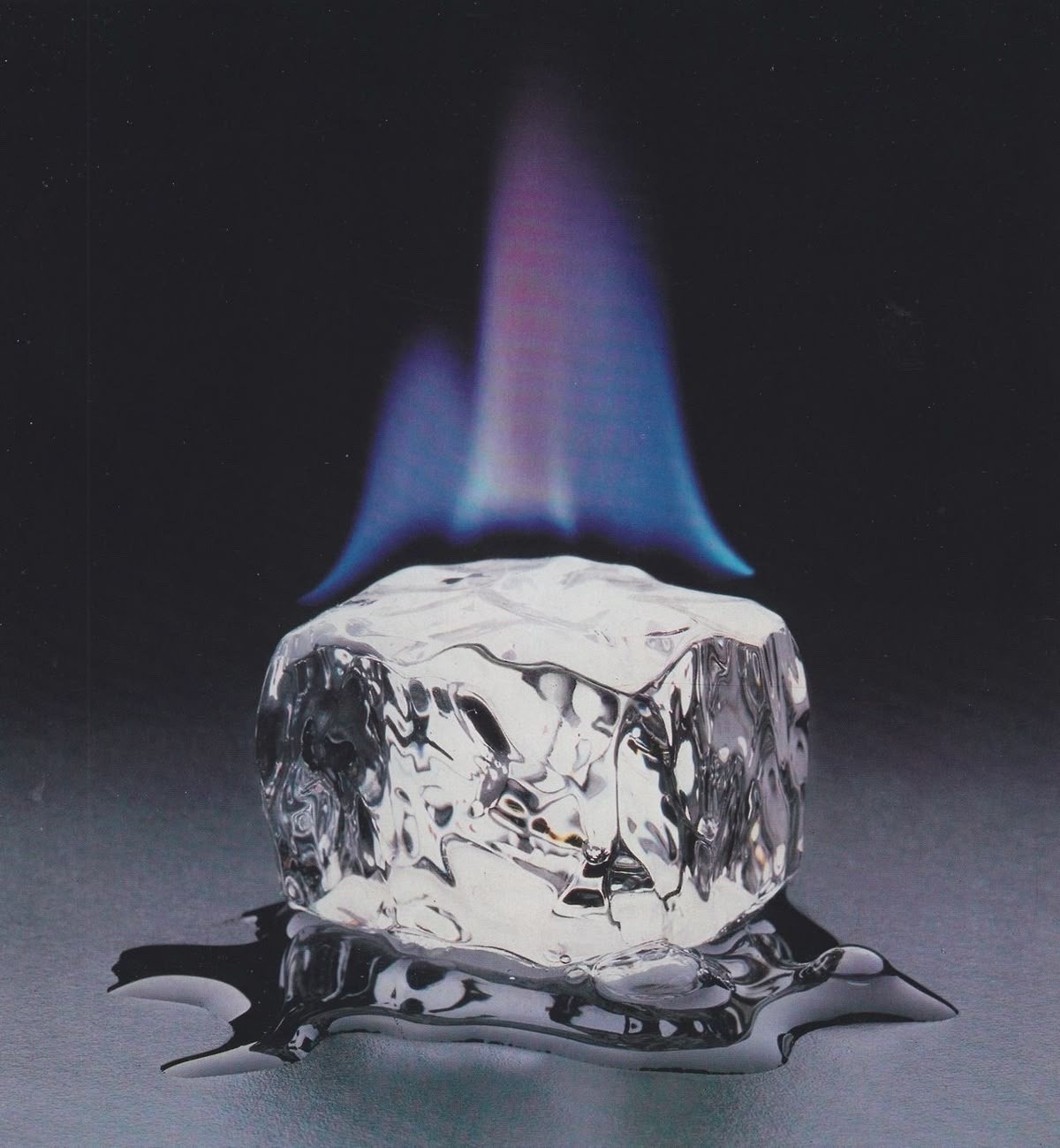 Photo by little.warri0r