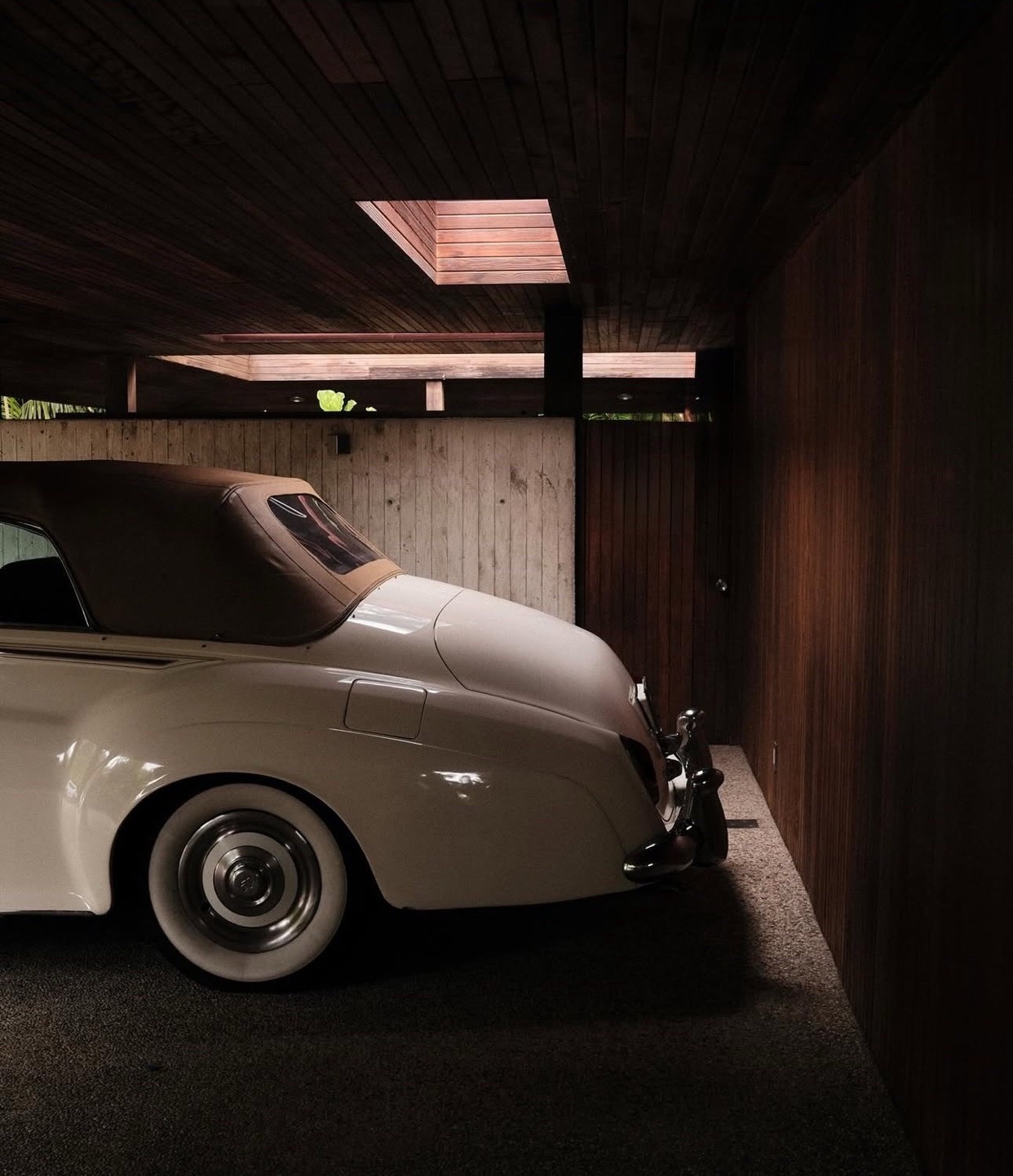 Photo by little.warri0r