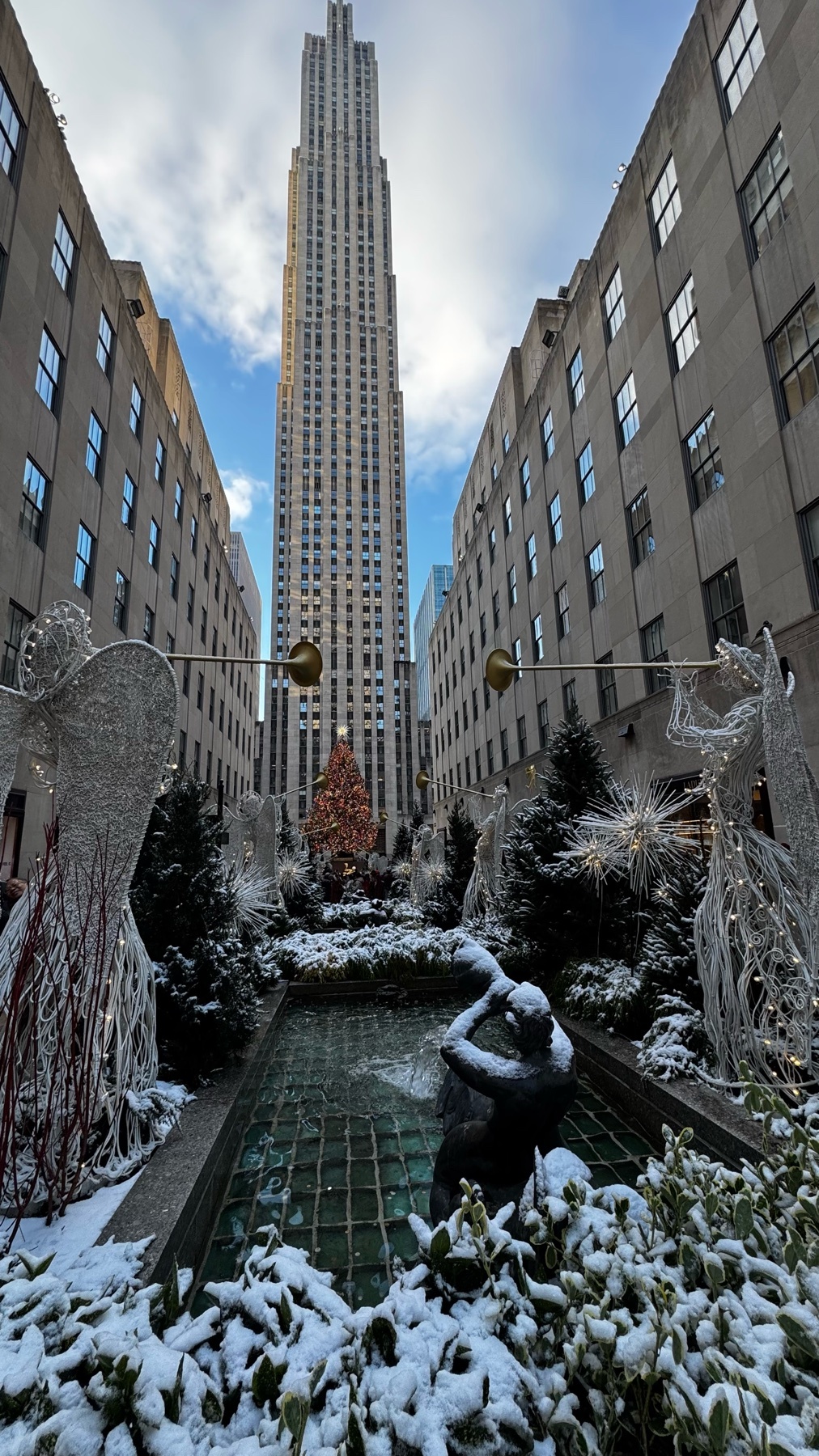 Photo by brian-armando