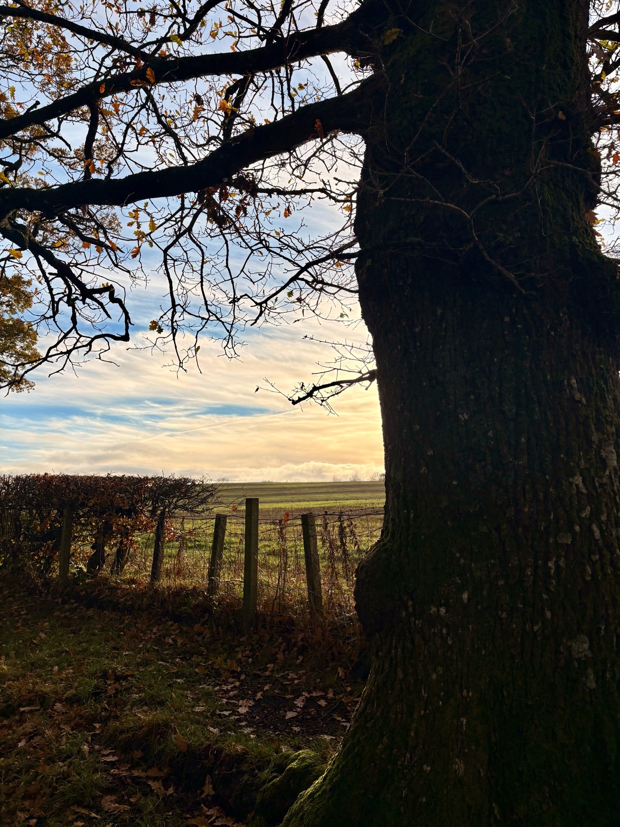 Photo by mattbaldacchino