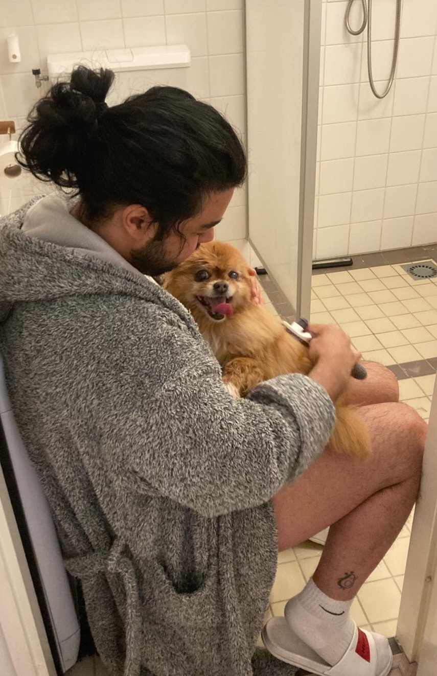 A man with his hair in a bun, wearing a grey robe, is sitting and brushing his small, fluffy Pomeranian dog. The dog is panting with its tongue out, looking happy.