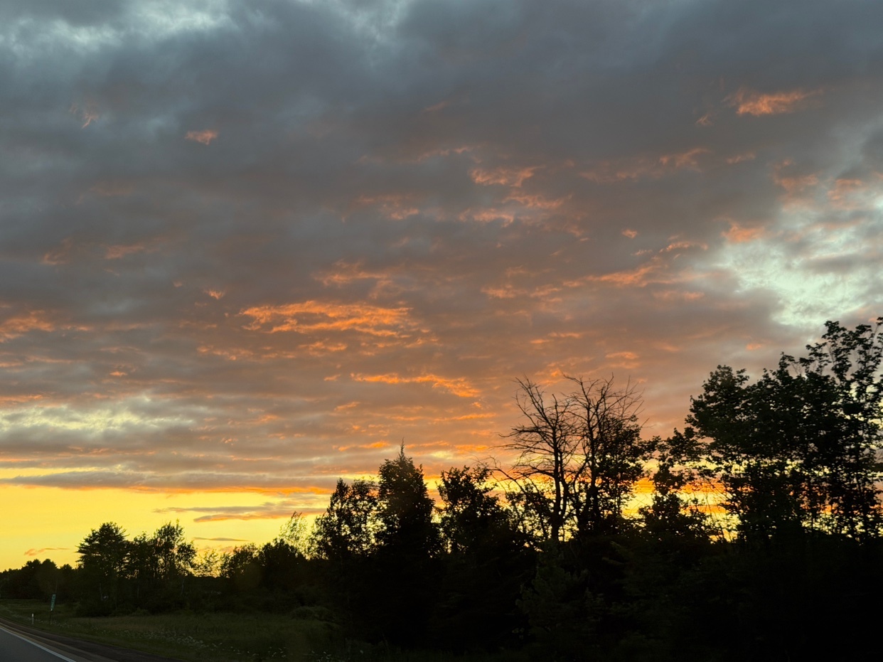 The sky is painted with streaks of orange and yellow as the sun rises or sets, with dark silhouettes of trees lining the horizon.