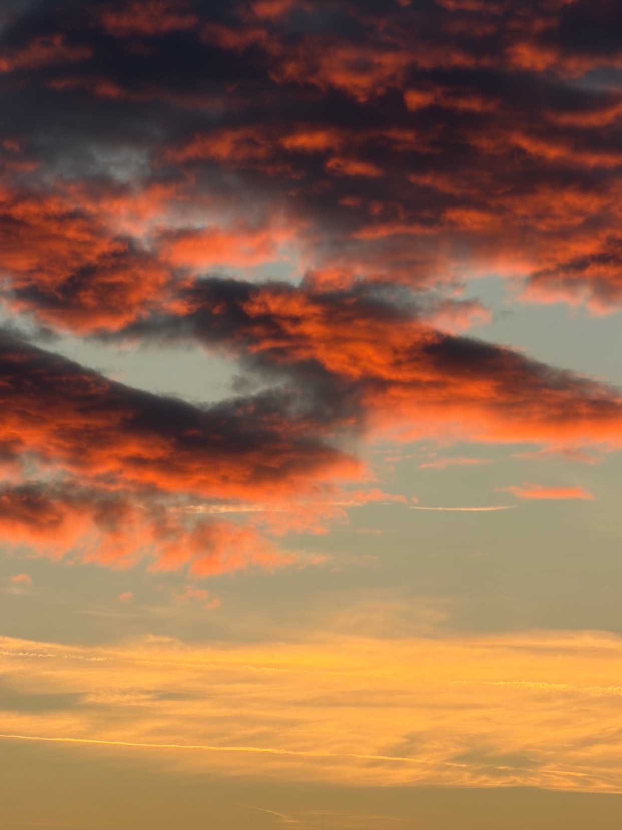 Photo by artisticjohn